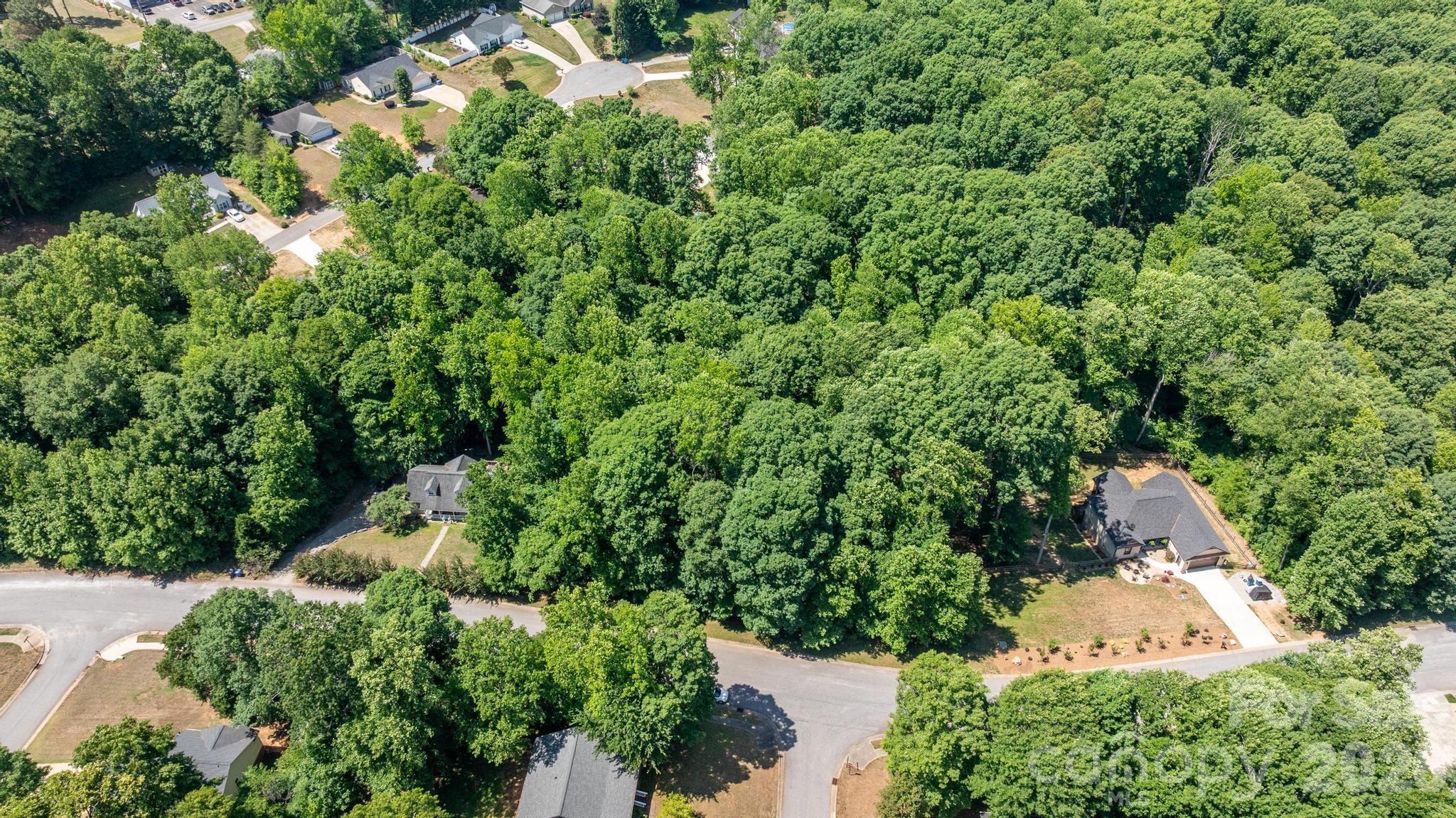 163 Shenandoah Loop Property Photo 11