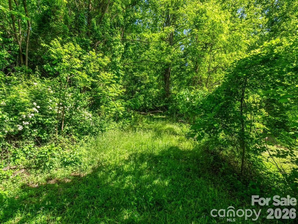 00 Hamilton Acres Drive Property Photo 6