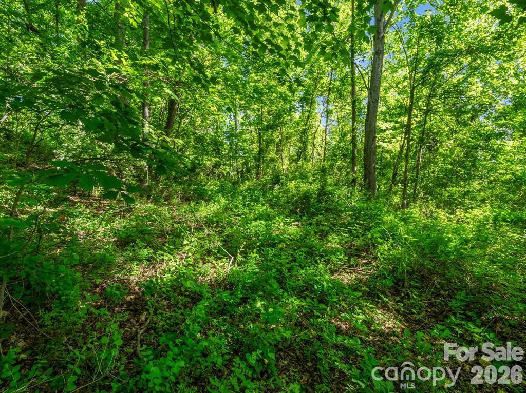 00 Hamilton Acres Drive Property Photo 7