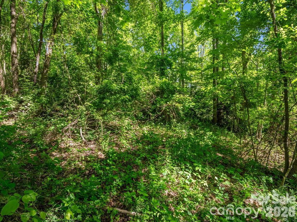 00 Hamilton Acres Drive Property Photo 8