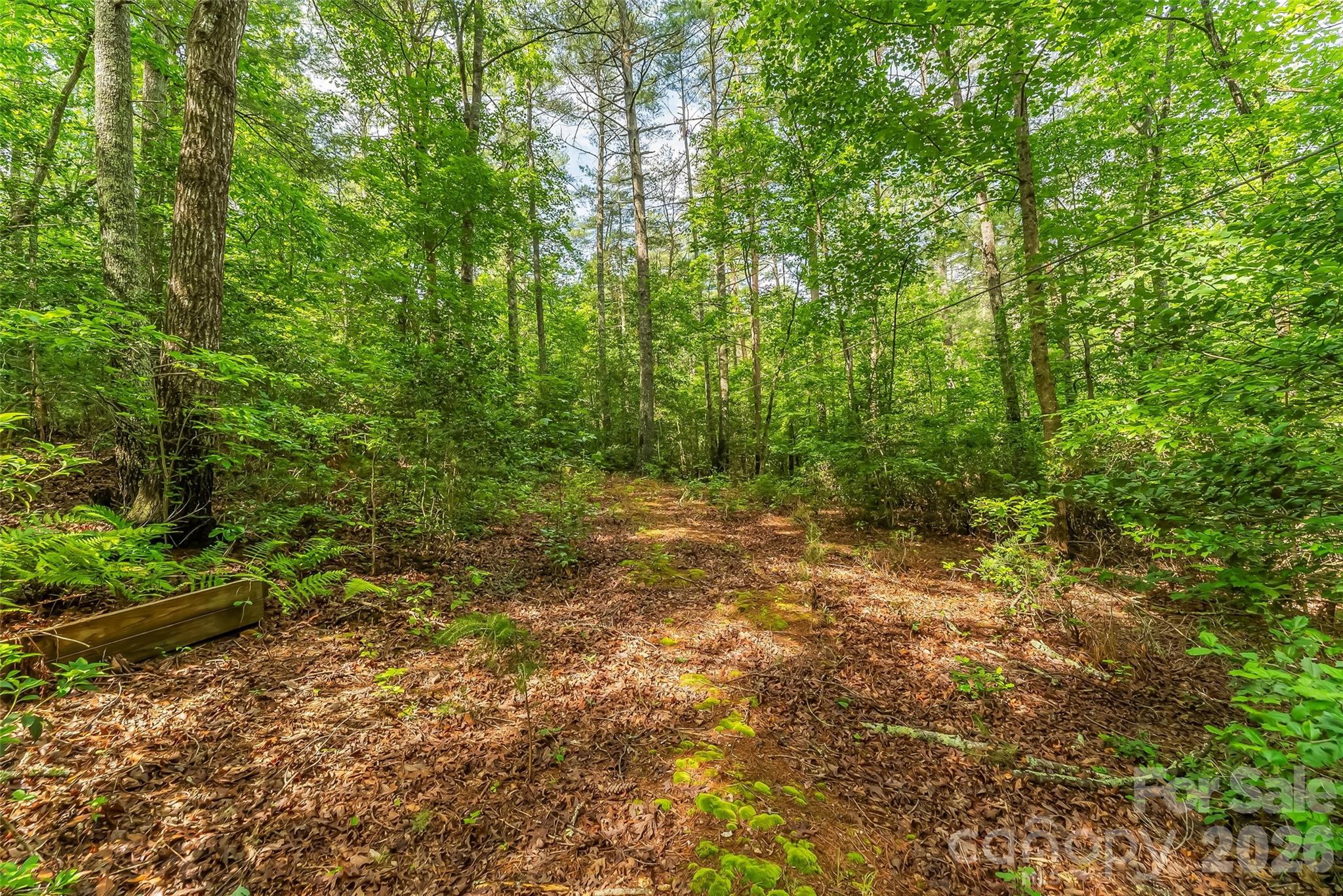 4082 Hwy 126 Highway Property Photo 23