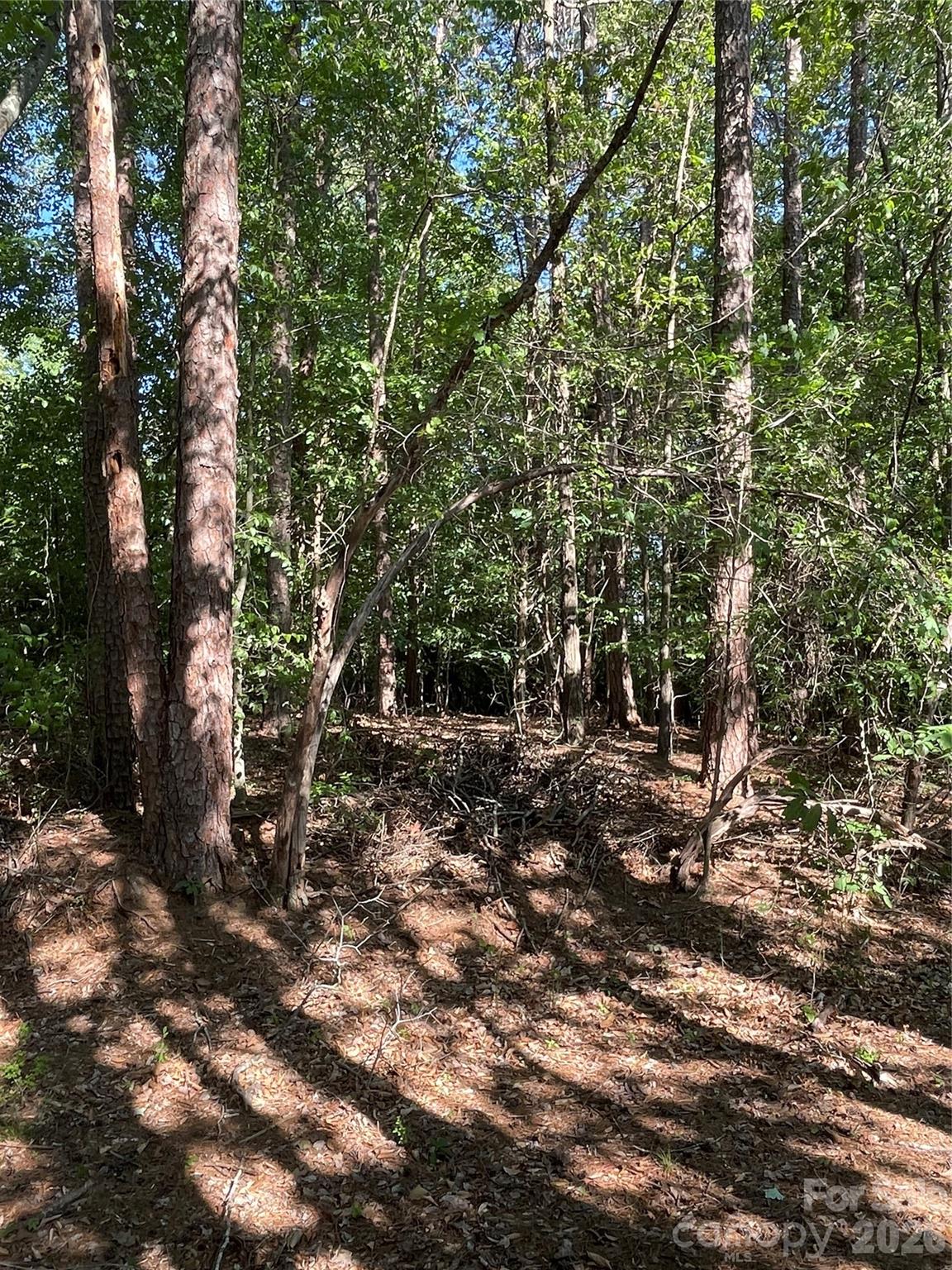 0 Lockhard Circle Property Photo 2
