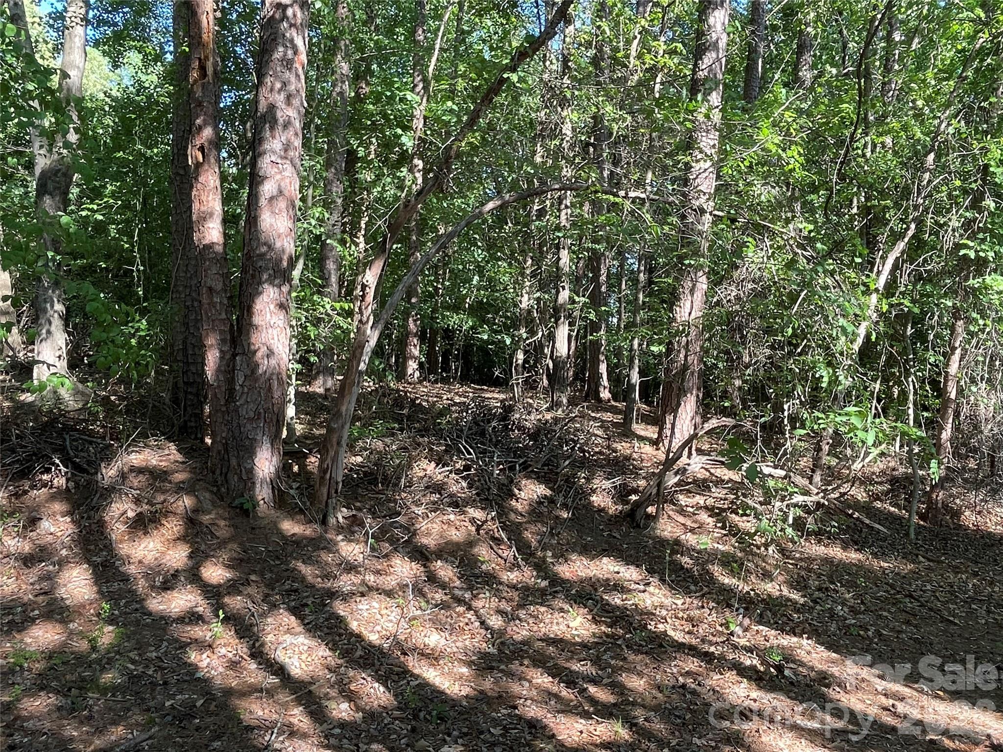 0 Lockhard Circle Property Photo 2
