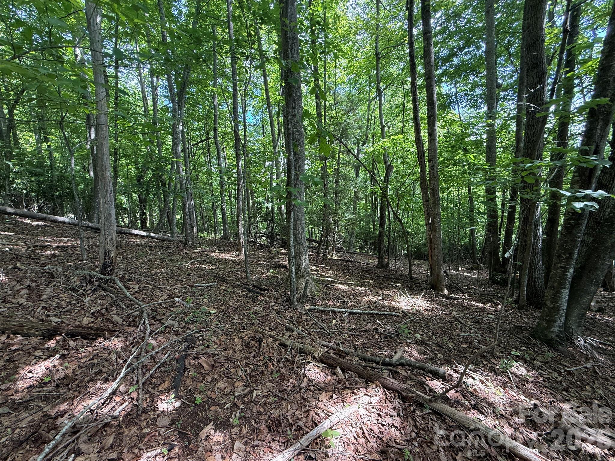 0000 Hardwood Summit Drive 191 Property Photo 6