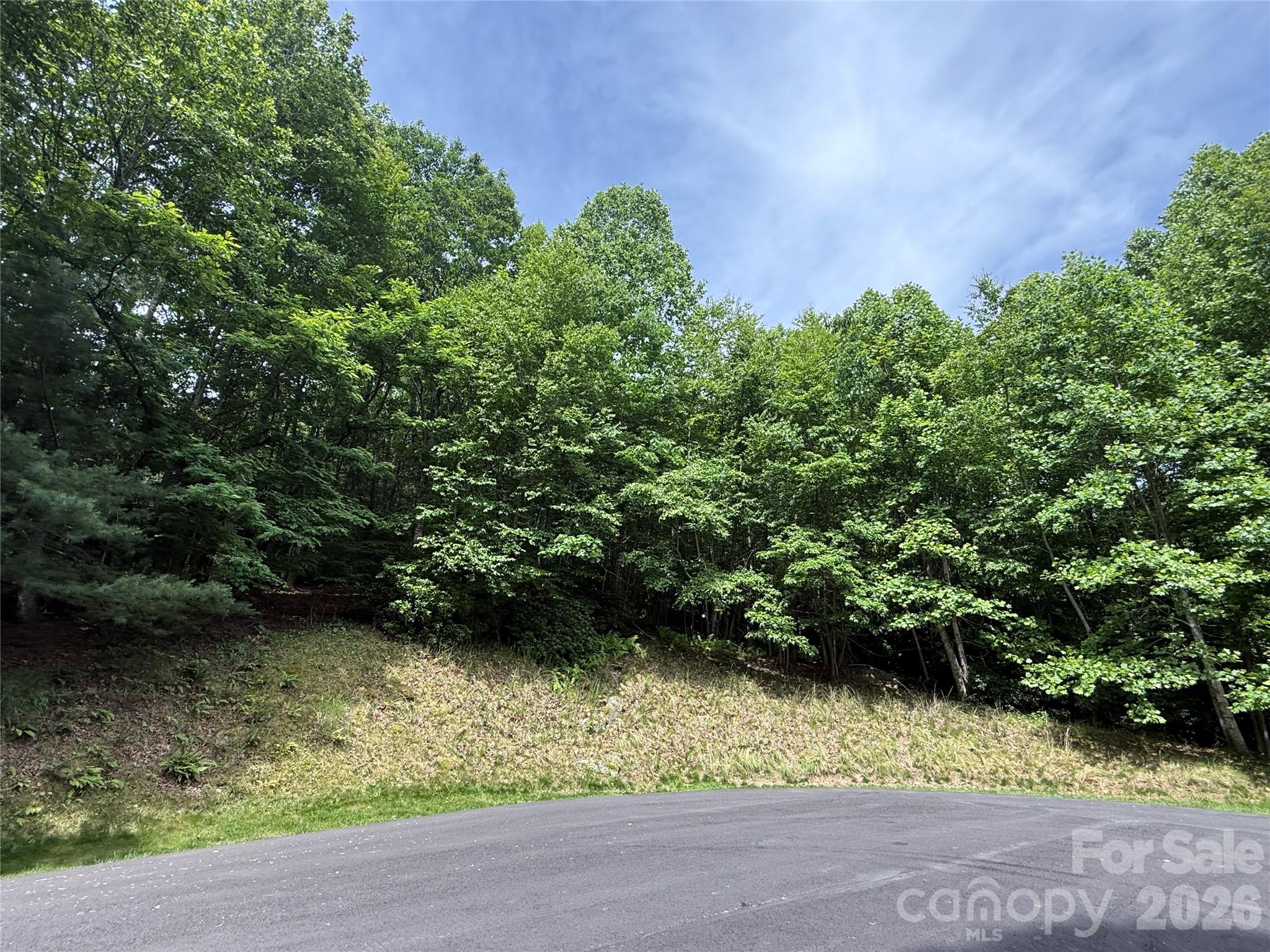 0000 Hardwood Summit Drive 191 Property Photo 7