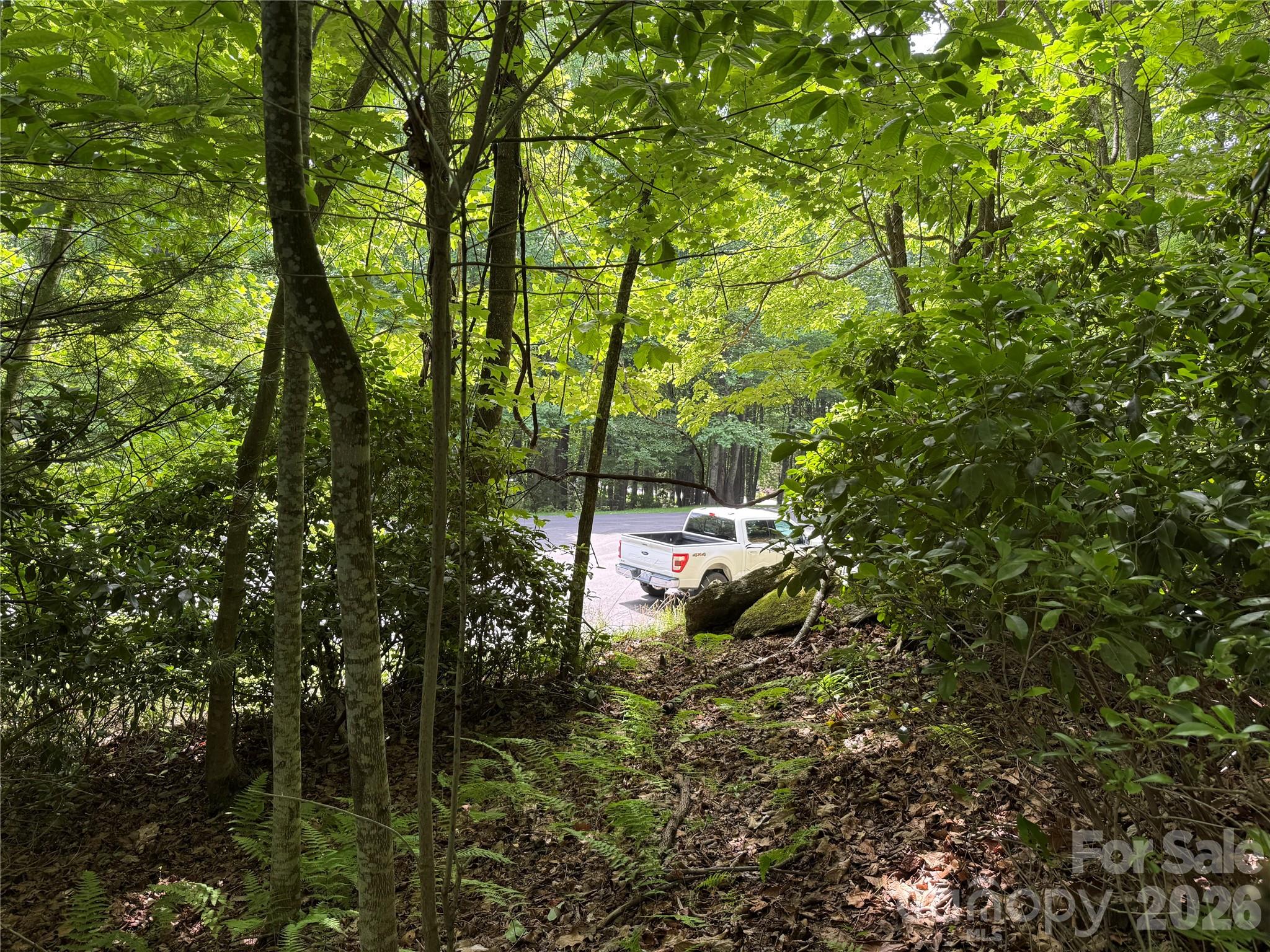 0000 Hardwood Summit Drive 191 Property Photo 13