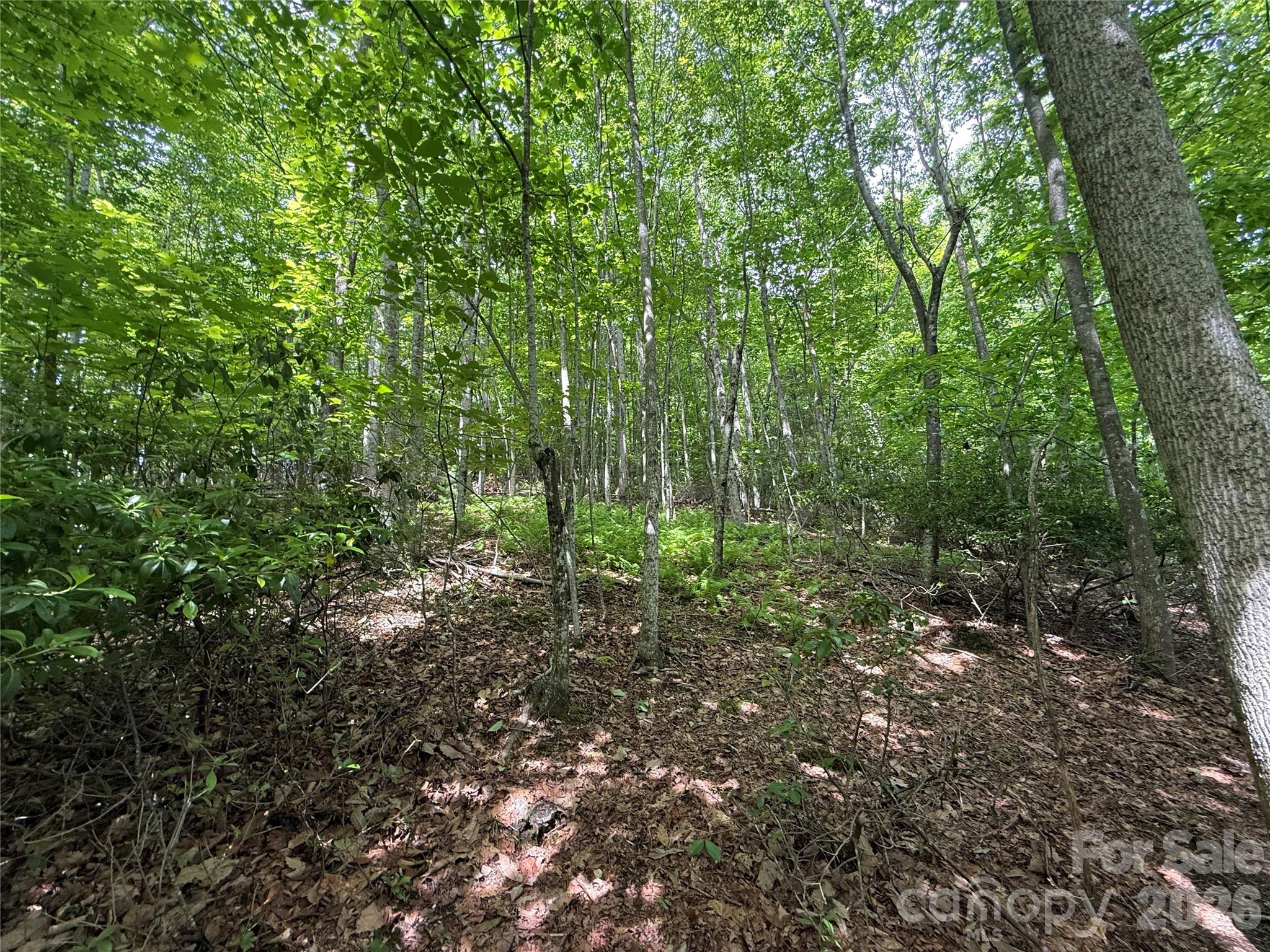 0000 Hardwood Summit Drive 191 Property Photo 15