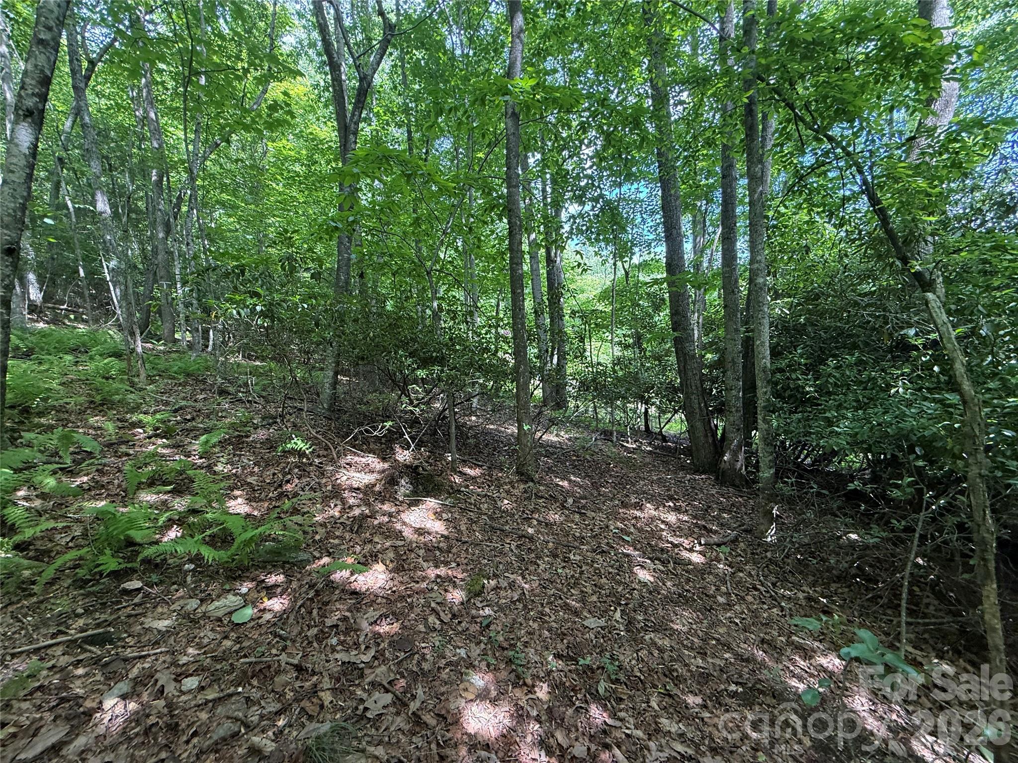 0000 Hardwood Summit Drive 191 Property Photo 16