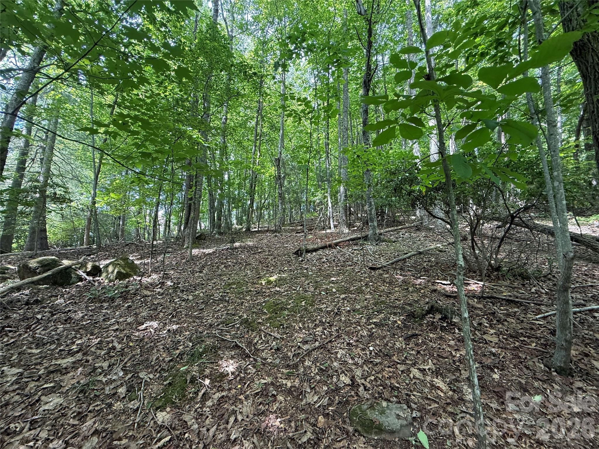0000 Hardwood Summit Drive 191 Property Photo 18