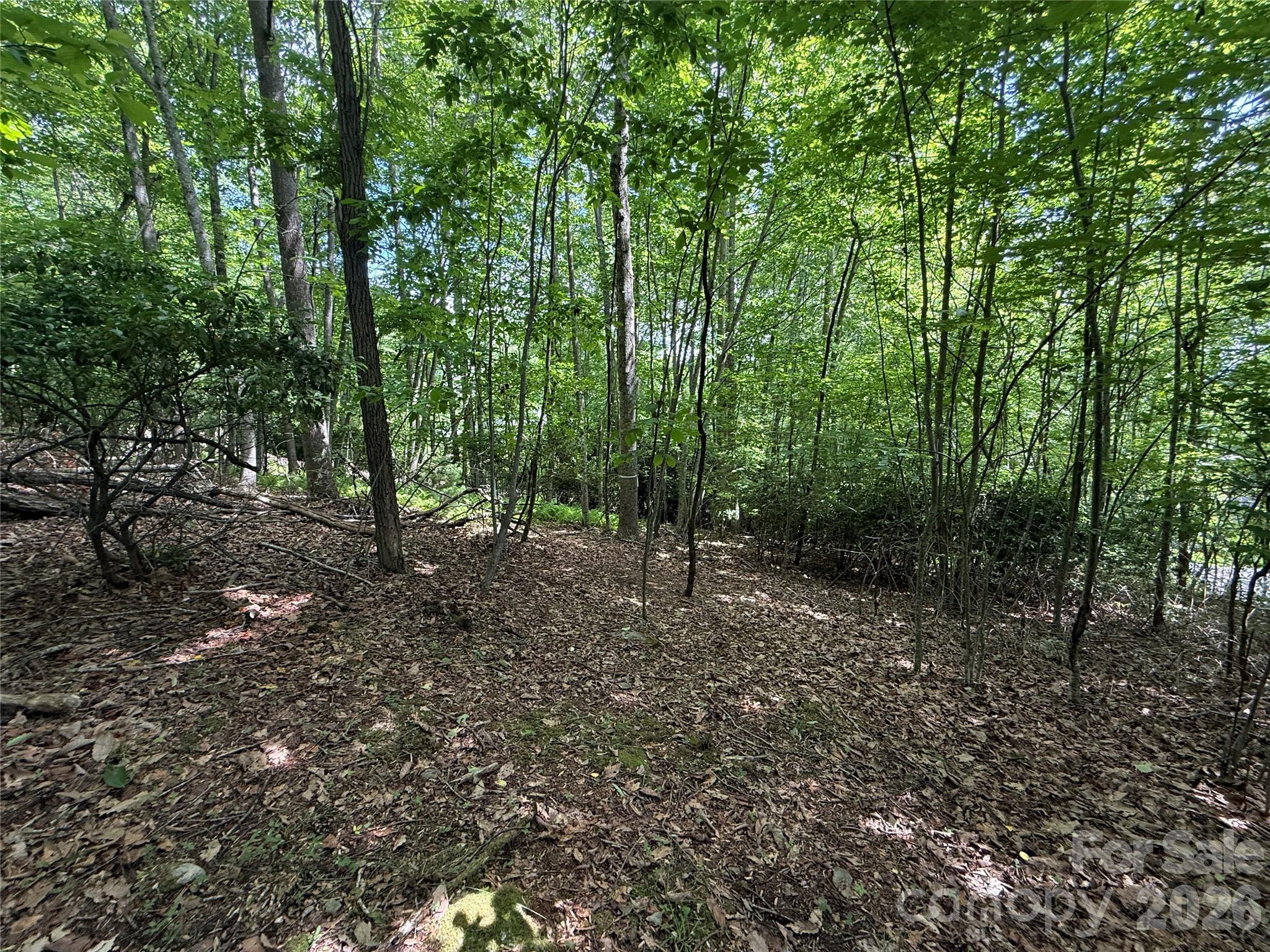 0000 Hardwood Summit Drive 191 Property Photo 19