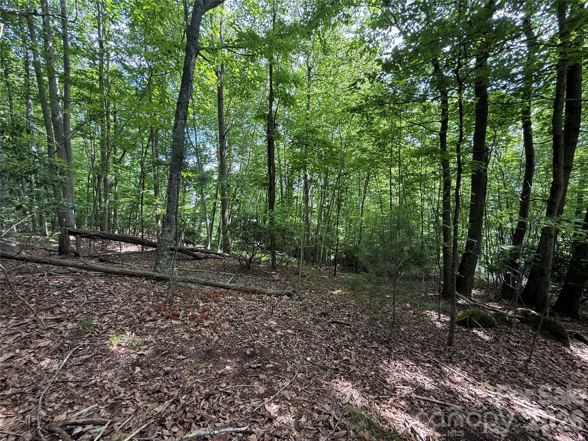 0000 Hardwood Summit Drive 191 Property Photo 20