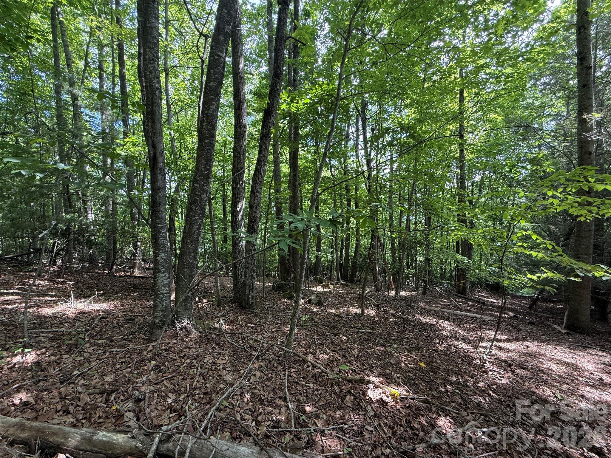 0000 Hardwood Summit Drive 191 Property Photo 21