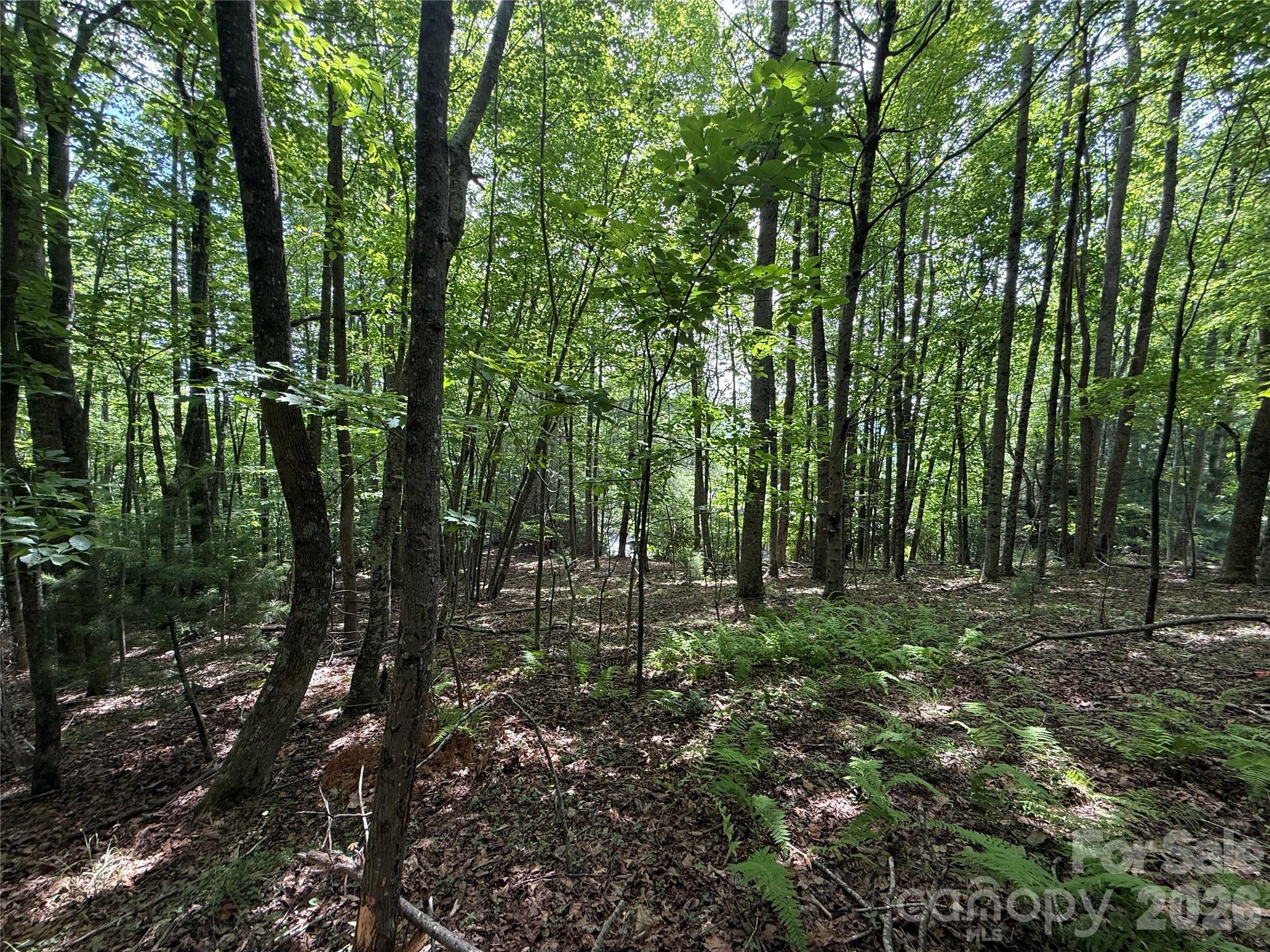 0000 Hardwood Summit Drive 191 Property Photo 25