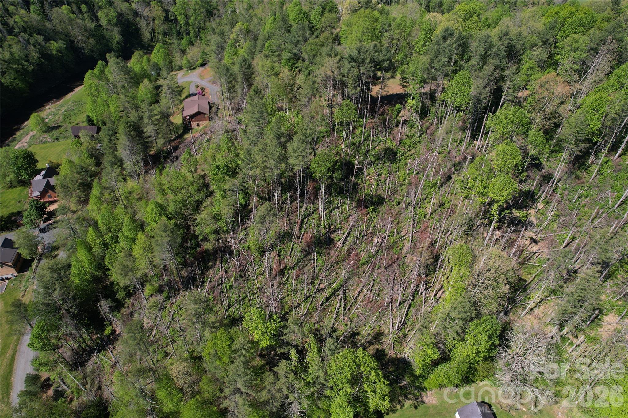 00 River Rock Road Property Photo 3