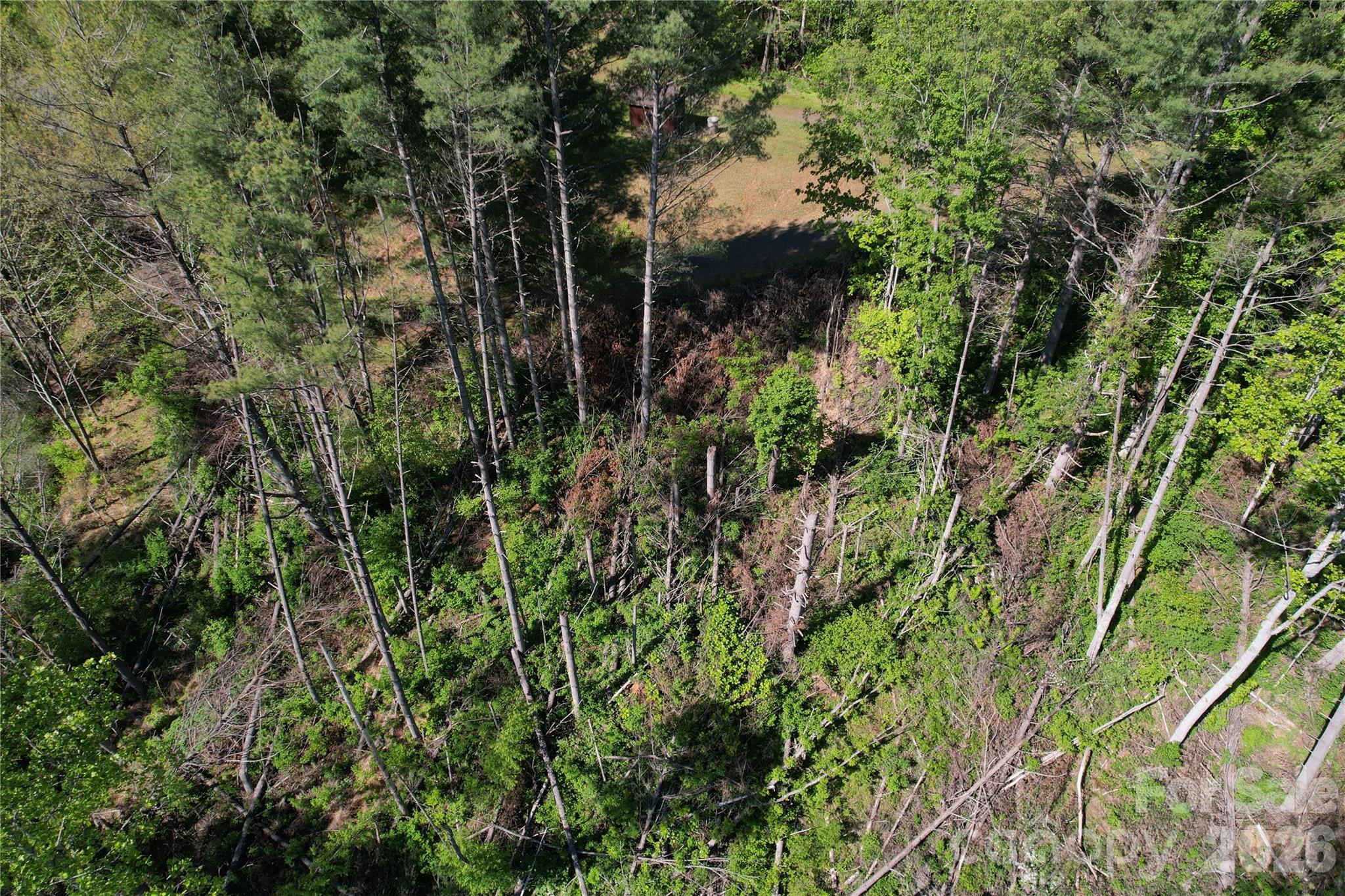00 River Rock Road Property Photo 6