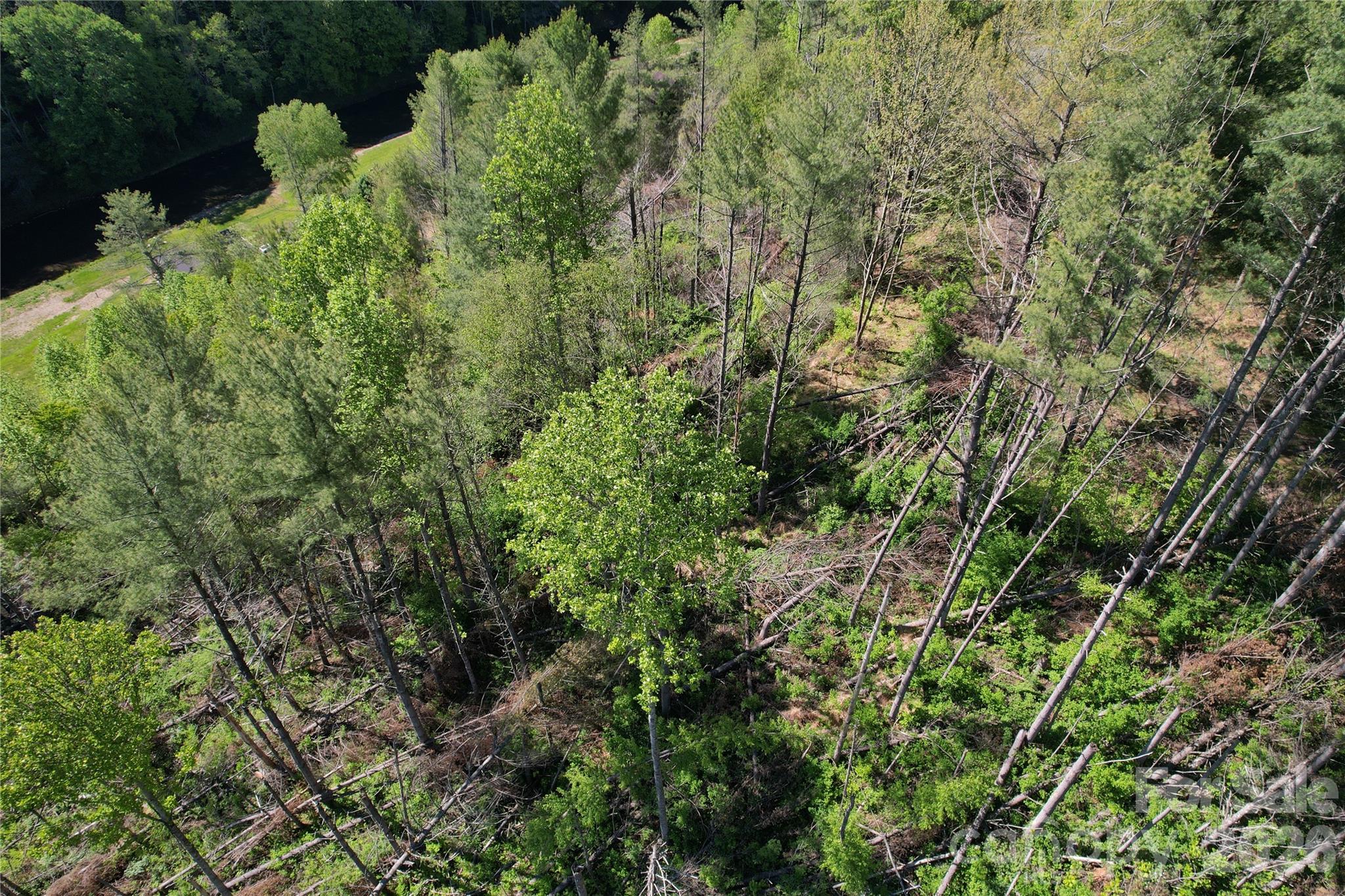 00 River Rock Road Property Photo 7