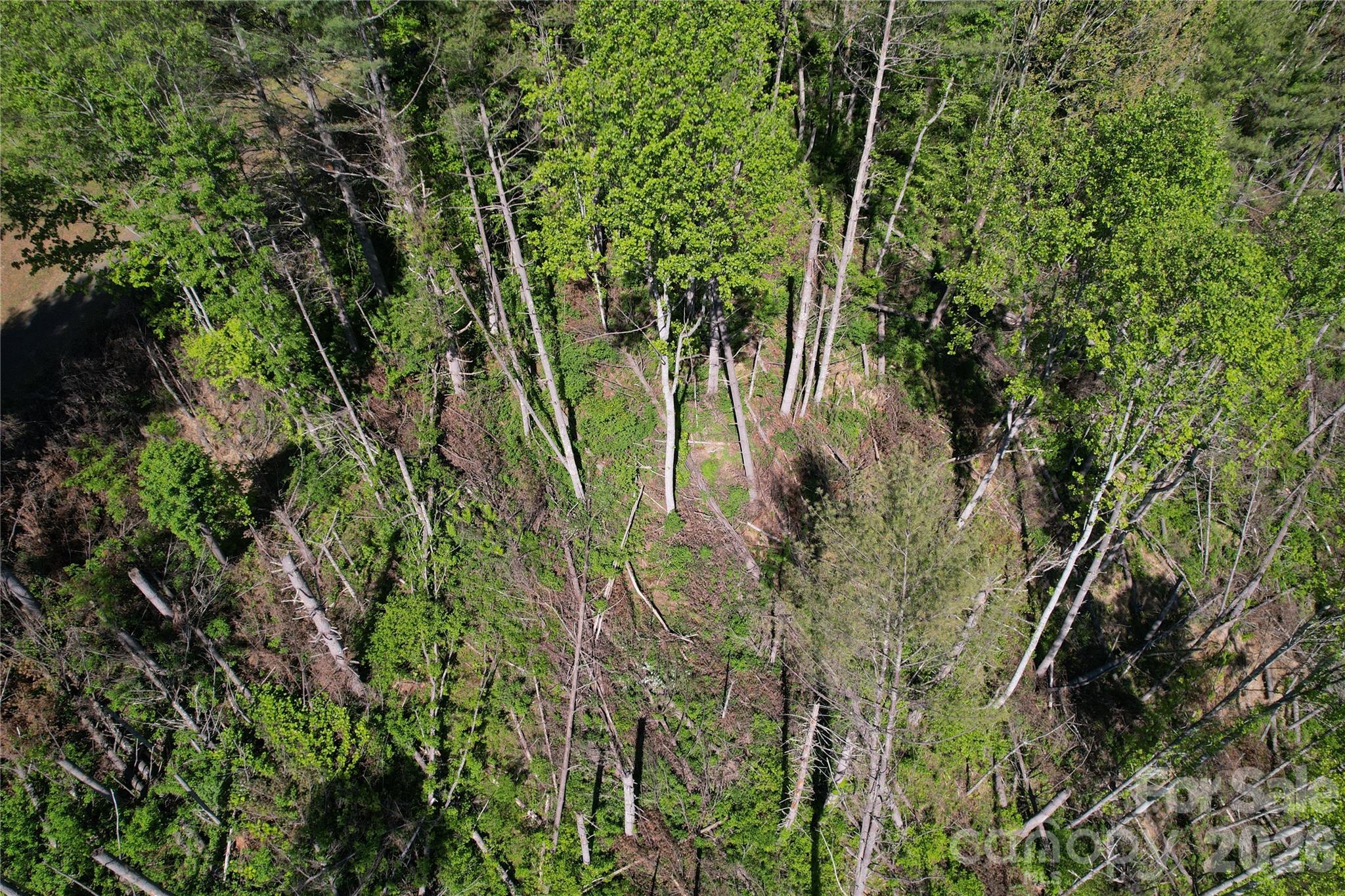 00 River Rock Road Property Photo 8