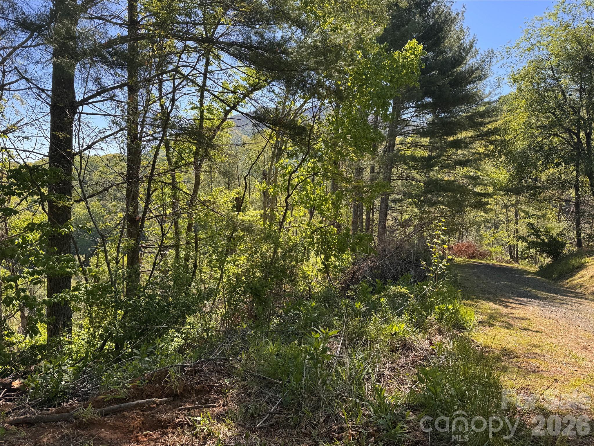 00 River Rock Road Property Photo 10