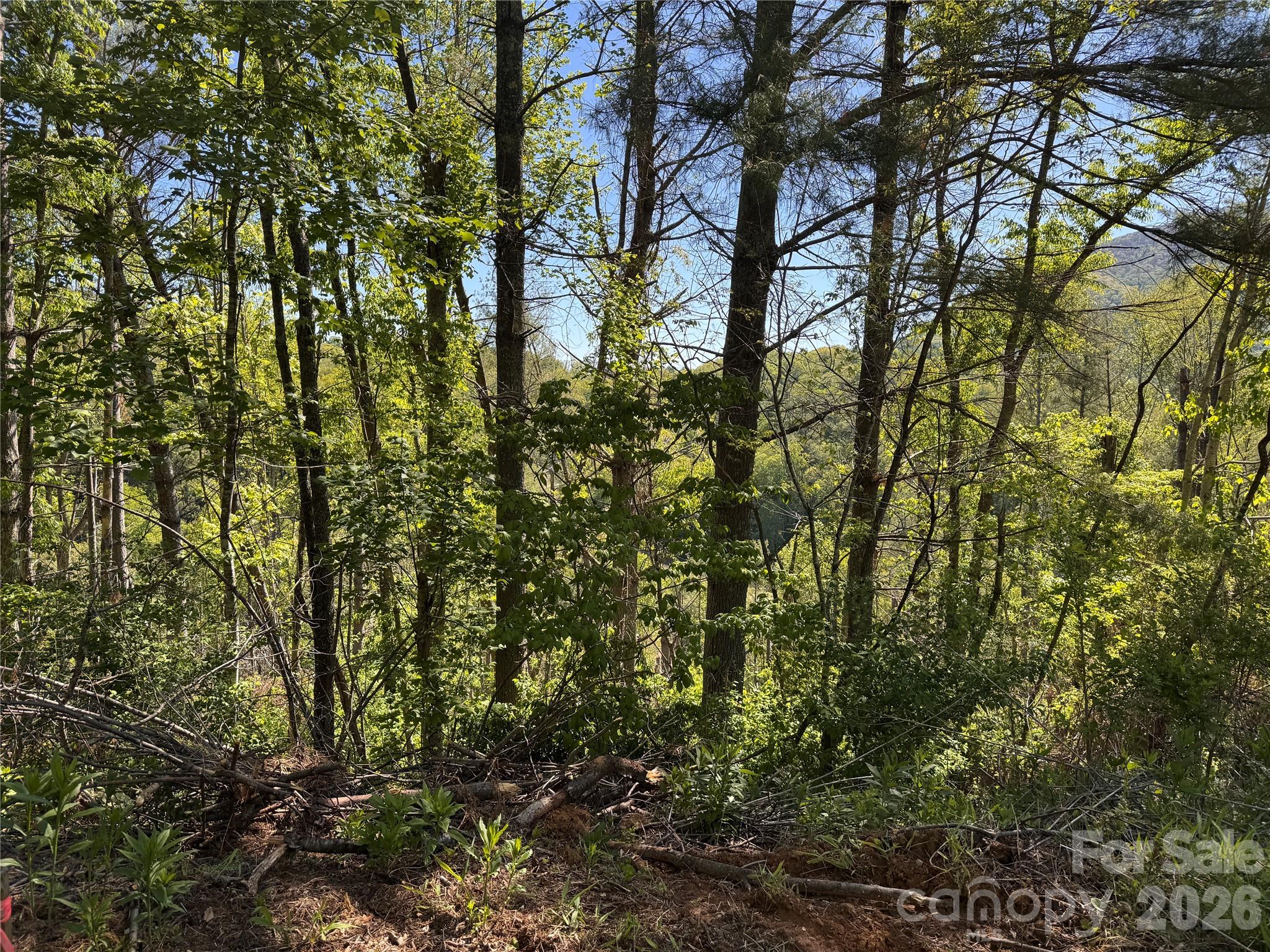 00 River Rock Road Property Photo 11