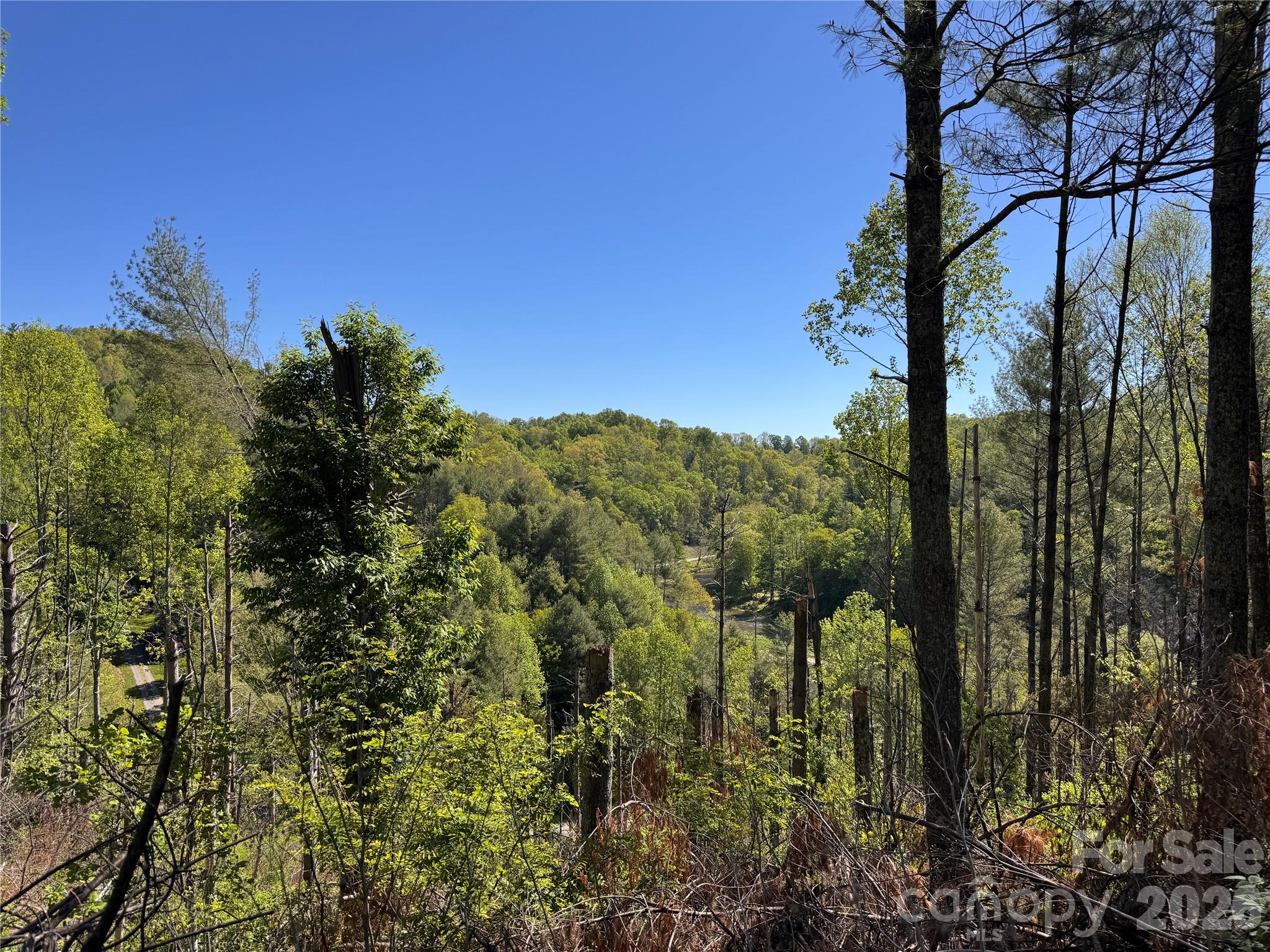 00 River Rock Road Property Photo 12