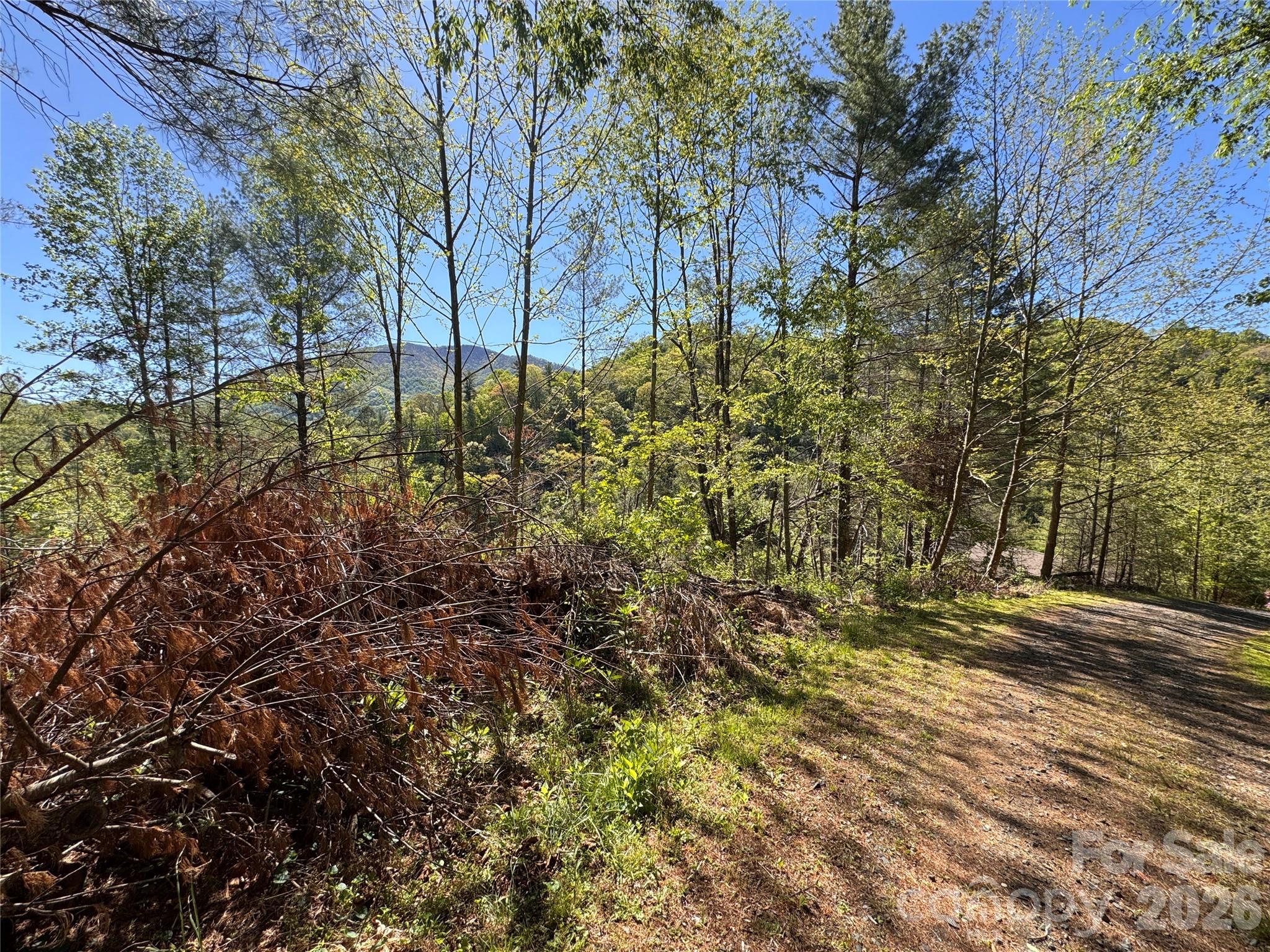 00 River Rock Road Property Photo 13