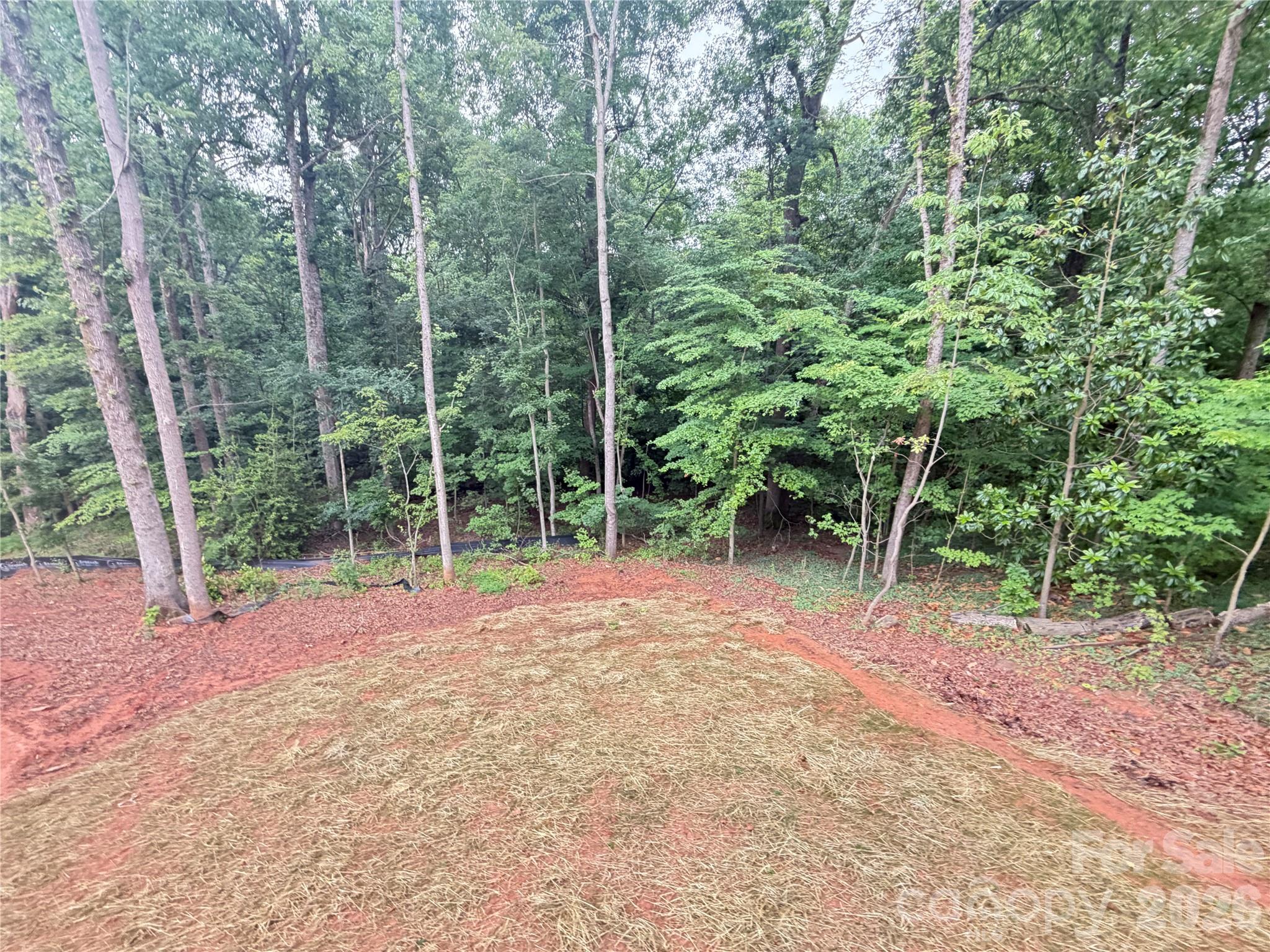 345 Rumple Street Property Photo 9