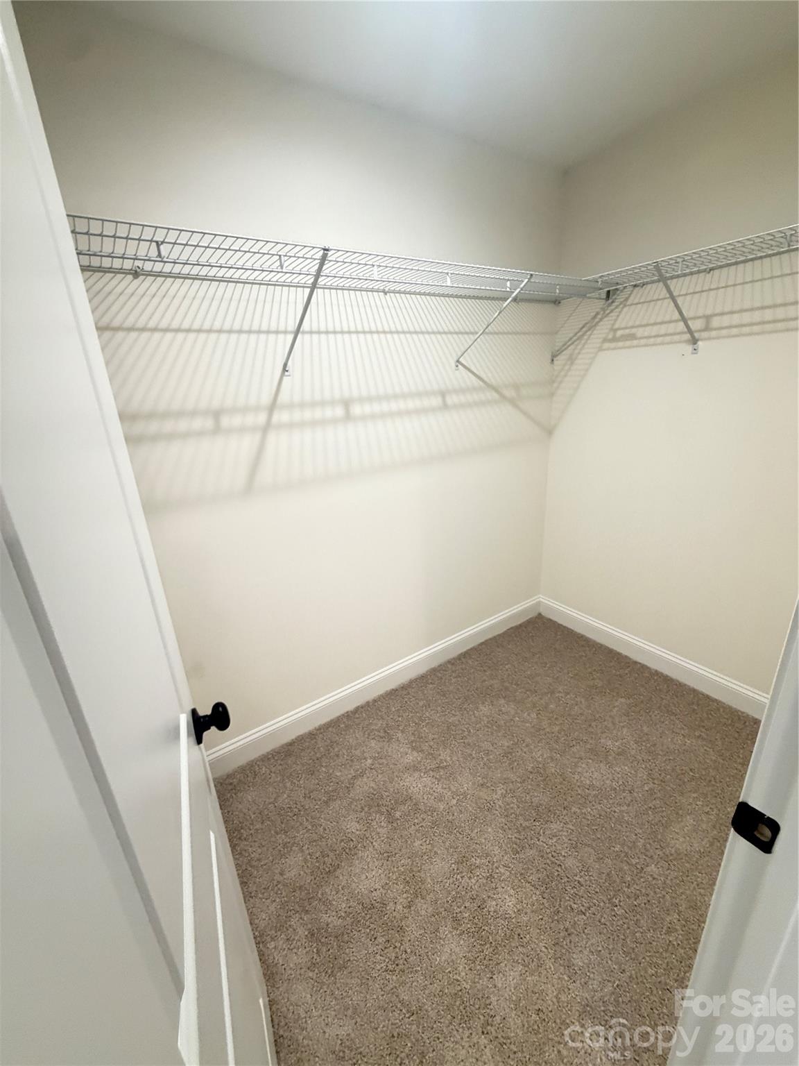 345 Rumple Street Property Photo 14