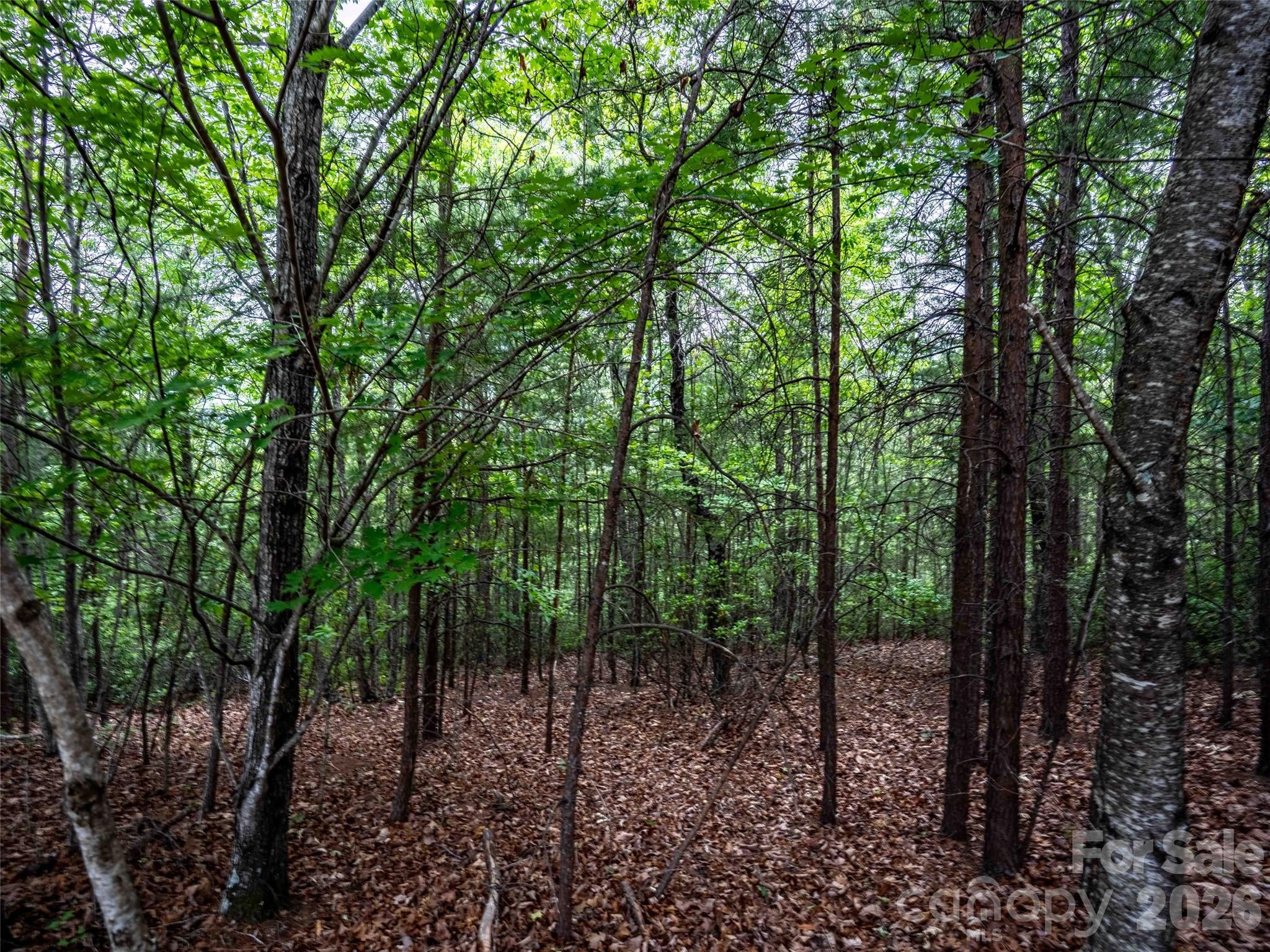 38 Deep Gap Farm Road 38 Property Photo 3