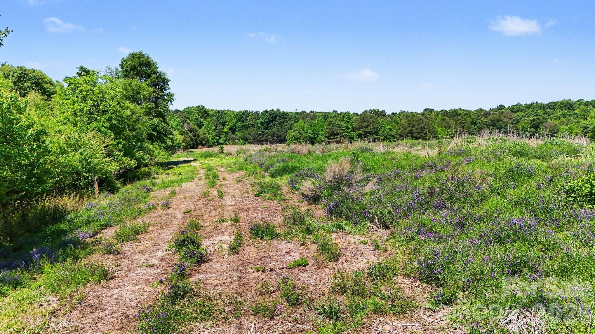 1832 Tysinger Road Property Photo 2