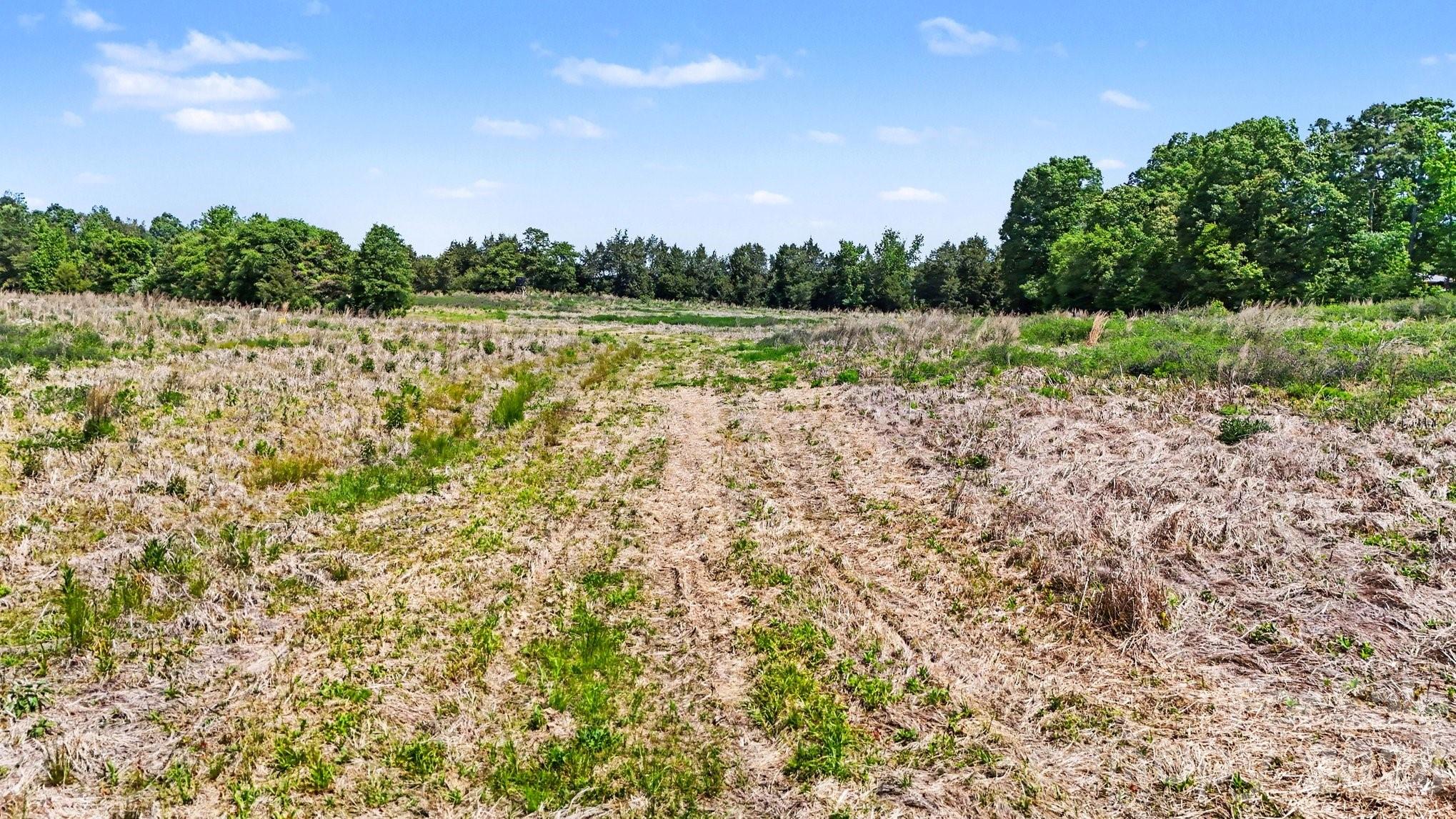 1832 Tysinger Road Property Photo 3