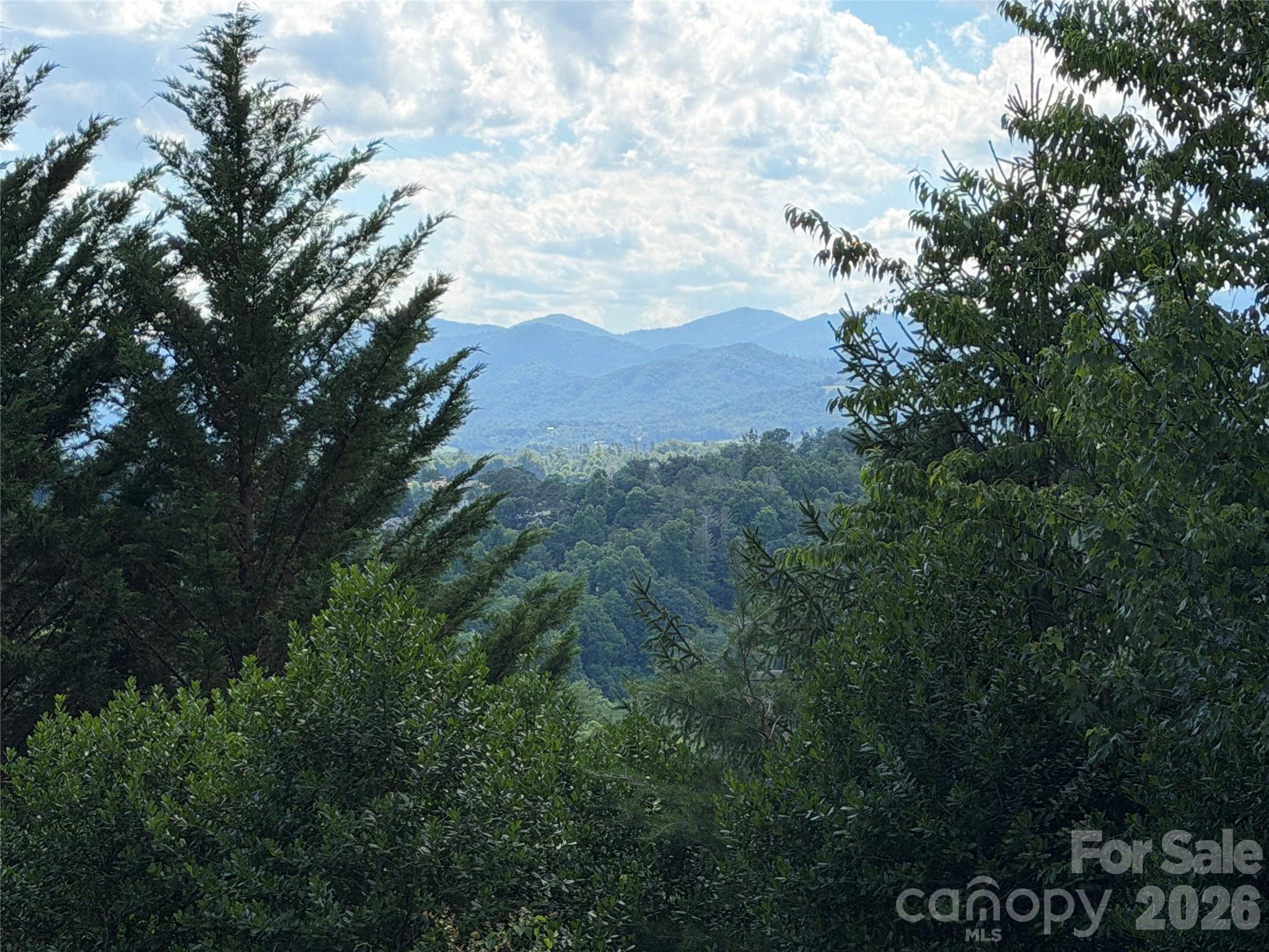 65 Buckle Ridge Property Photo 1