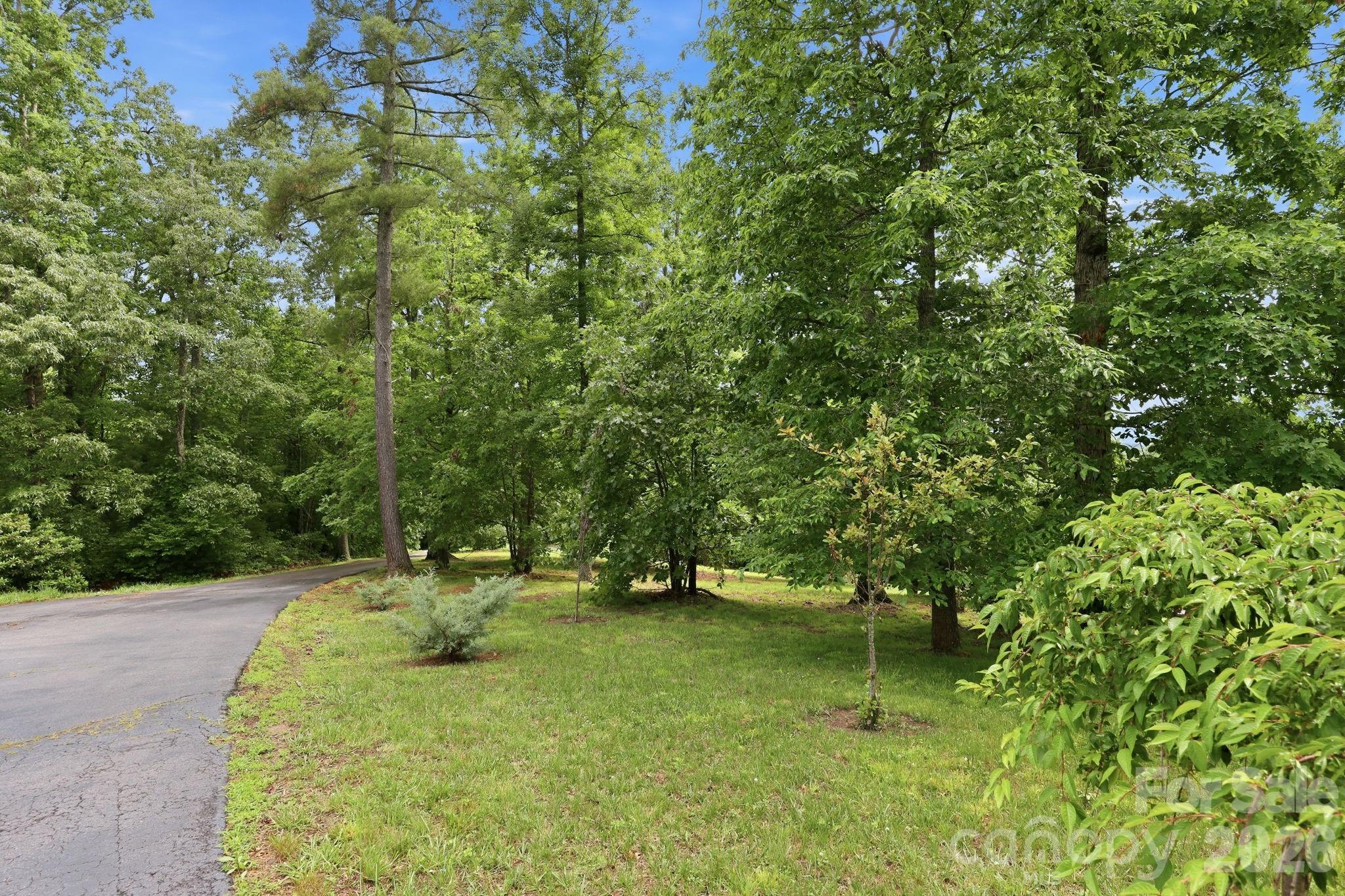 65 Buckle Ridge Property Photo 8