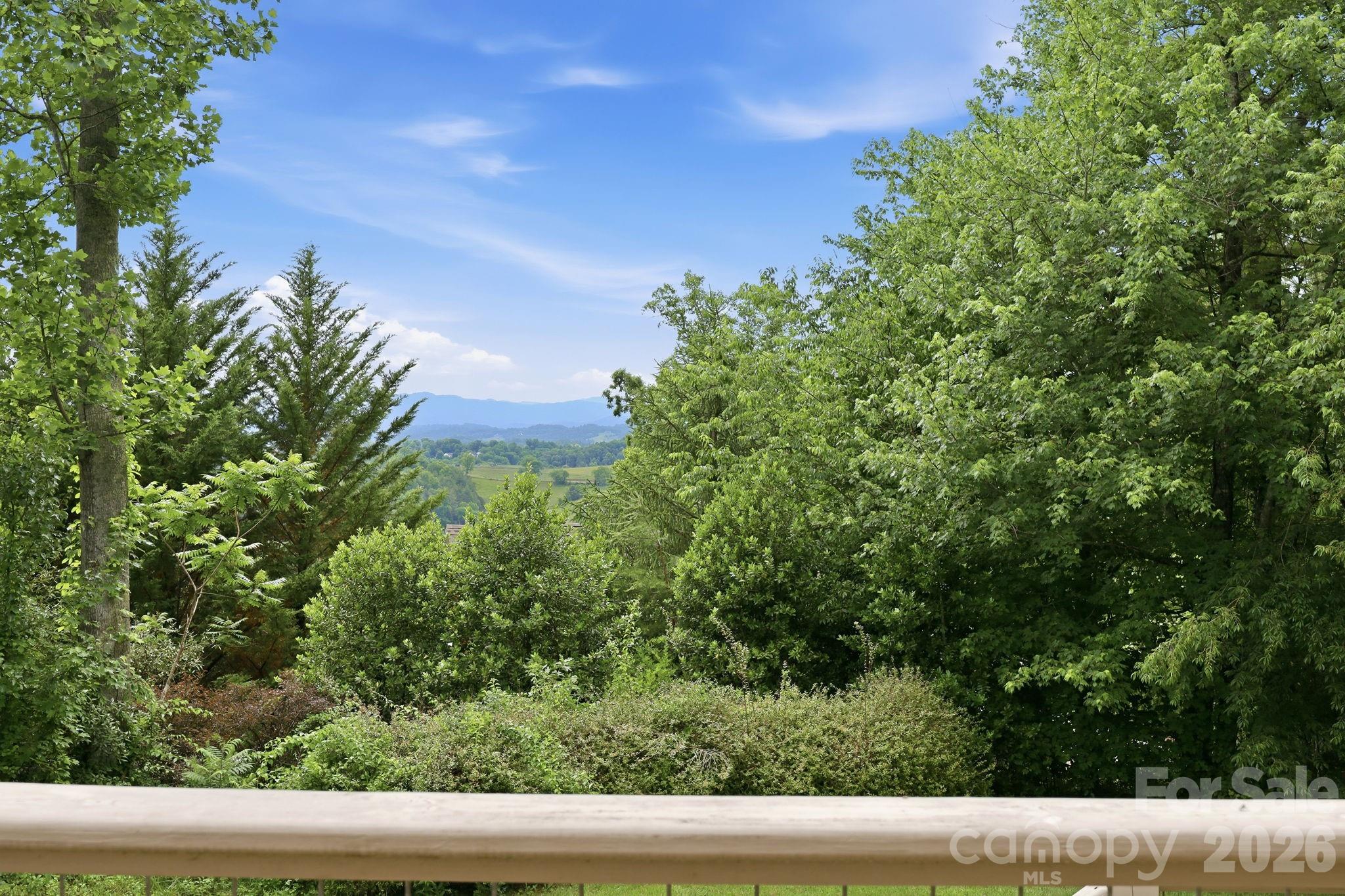 65 Buckle Ridge Property Photo 16