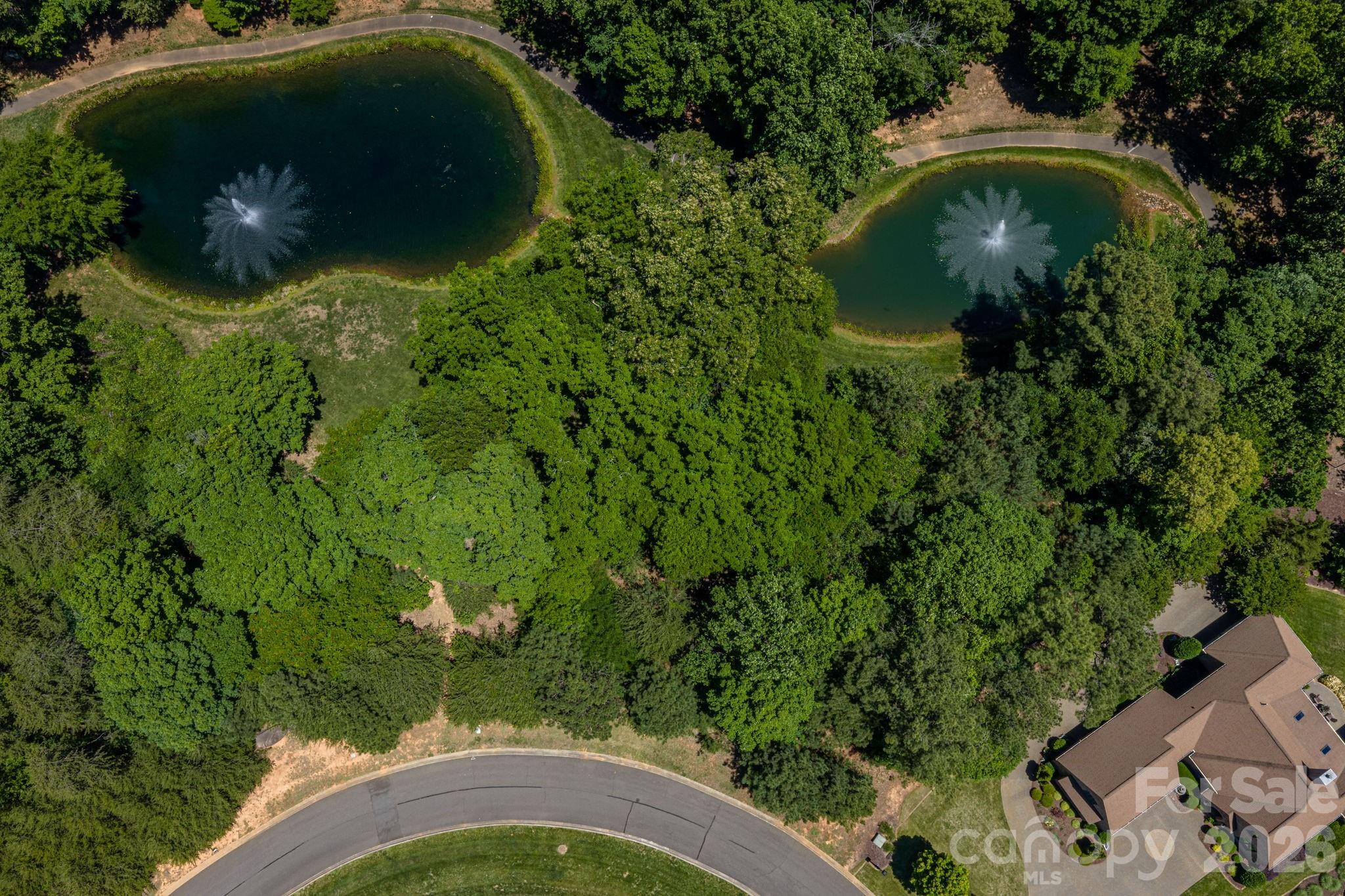 1116 Verdant Ridge Circle Property Photo 4