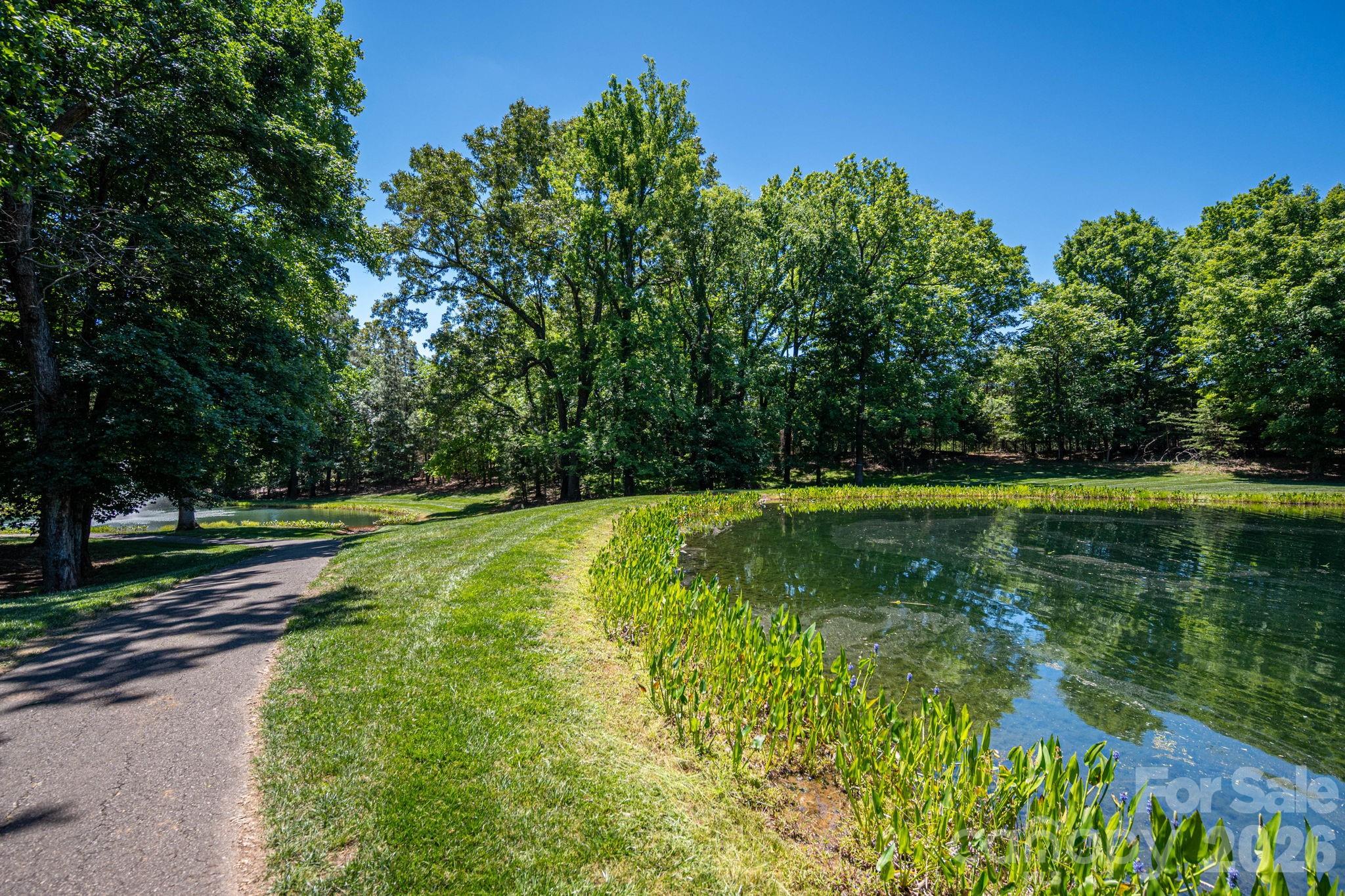 1116 Verdant Ridge Circle Property Photo 12