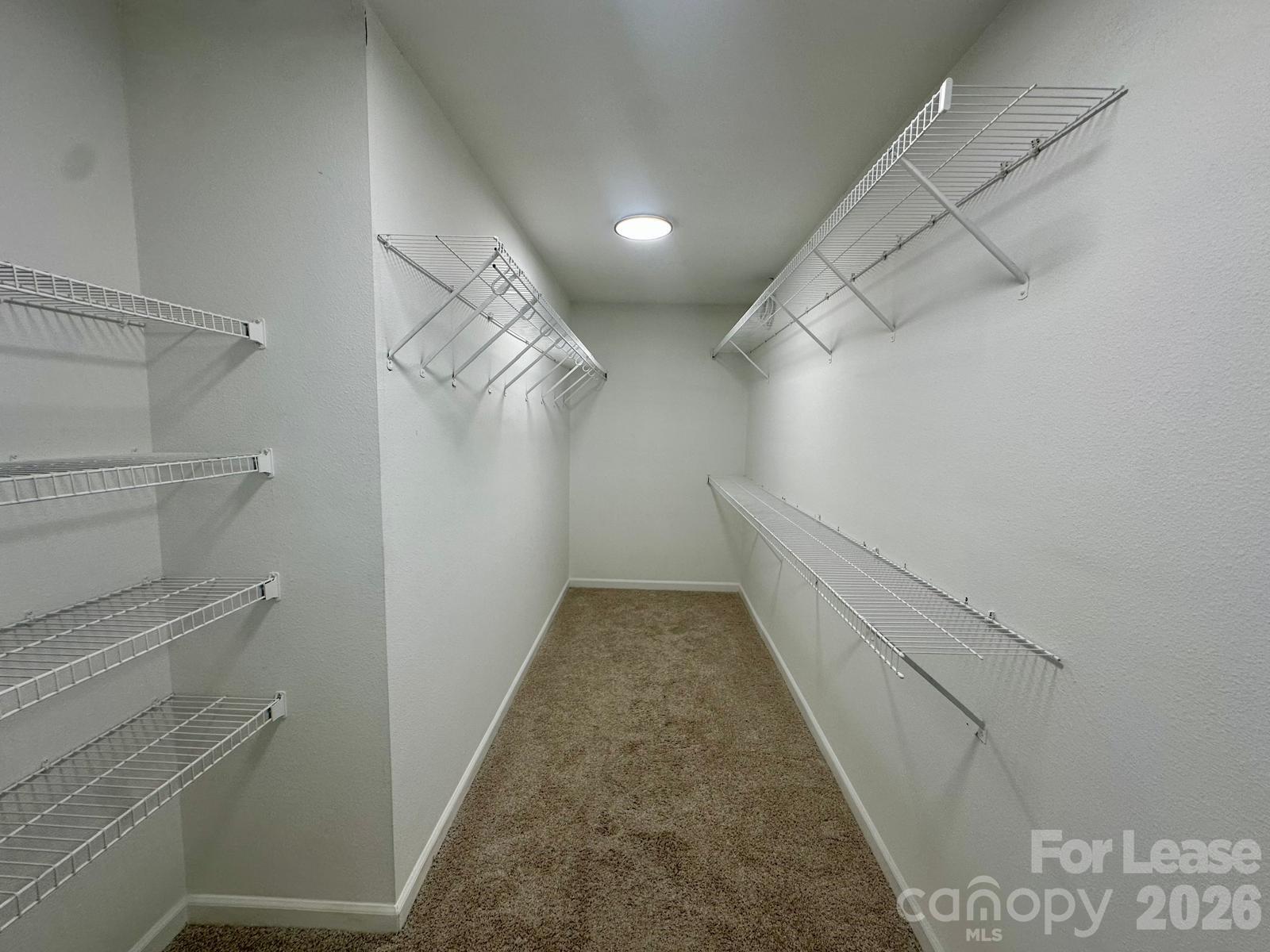 340 Zander Woods Court Property Photo 10