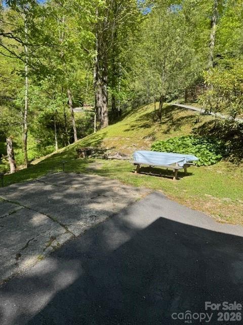 918 Plott Balsam Road Property Photo 7