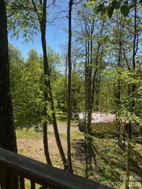 918 Plott Balsam Road Property Photo 10