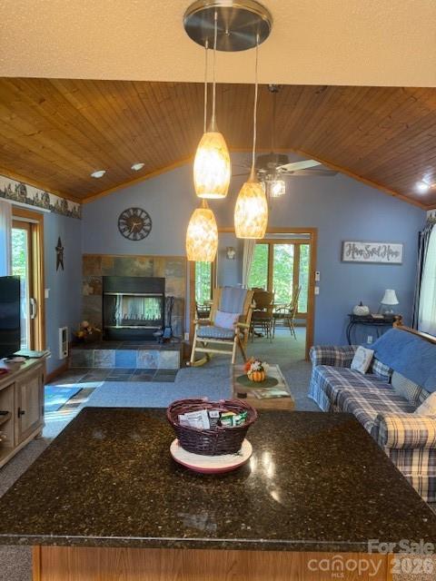 918 Plott Balsam Road Property Photo 11