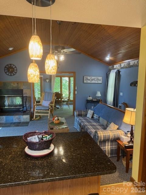 918 Plott Balsam Road Property Photo 12