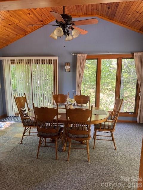 918 Plott Balsam Road Property Photo 13