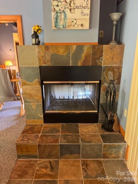 918 Plott Balsam Road Property Photo 16