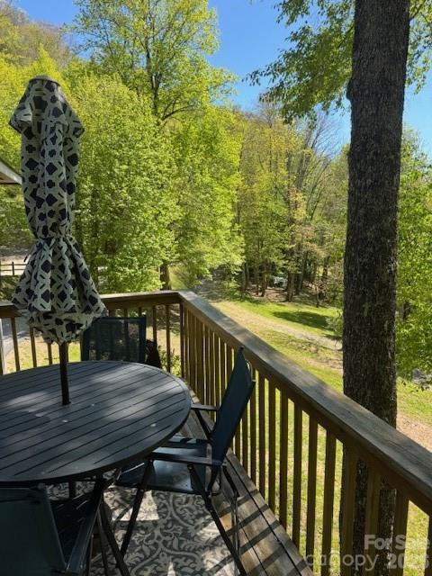 918 Plott Balsam Road Property Photo 18