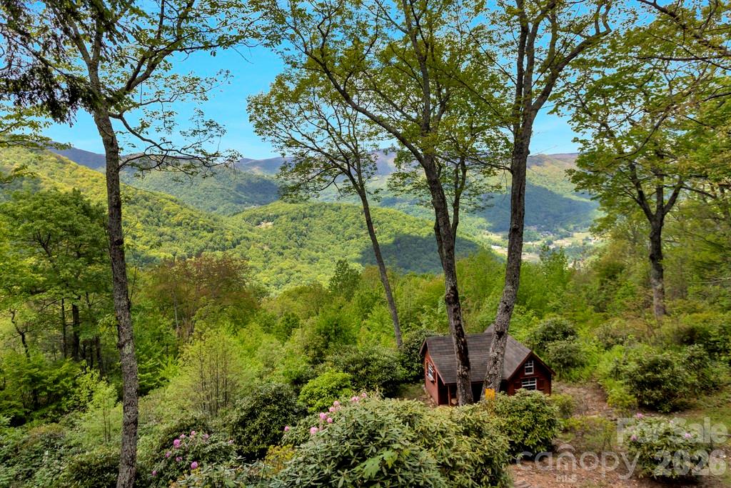 35 Falcon Crest Loop Property Photo 41