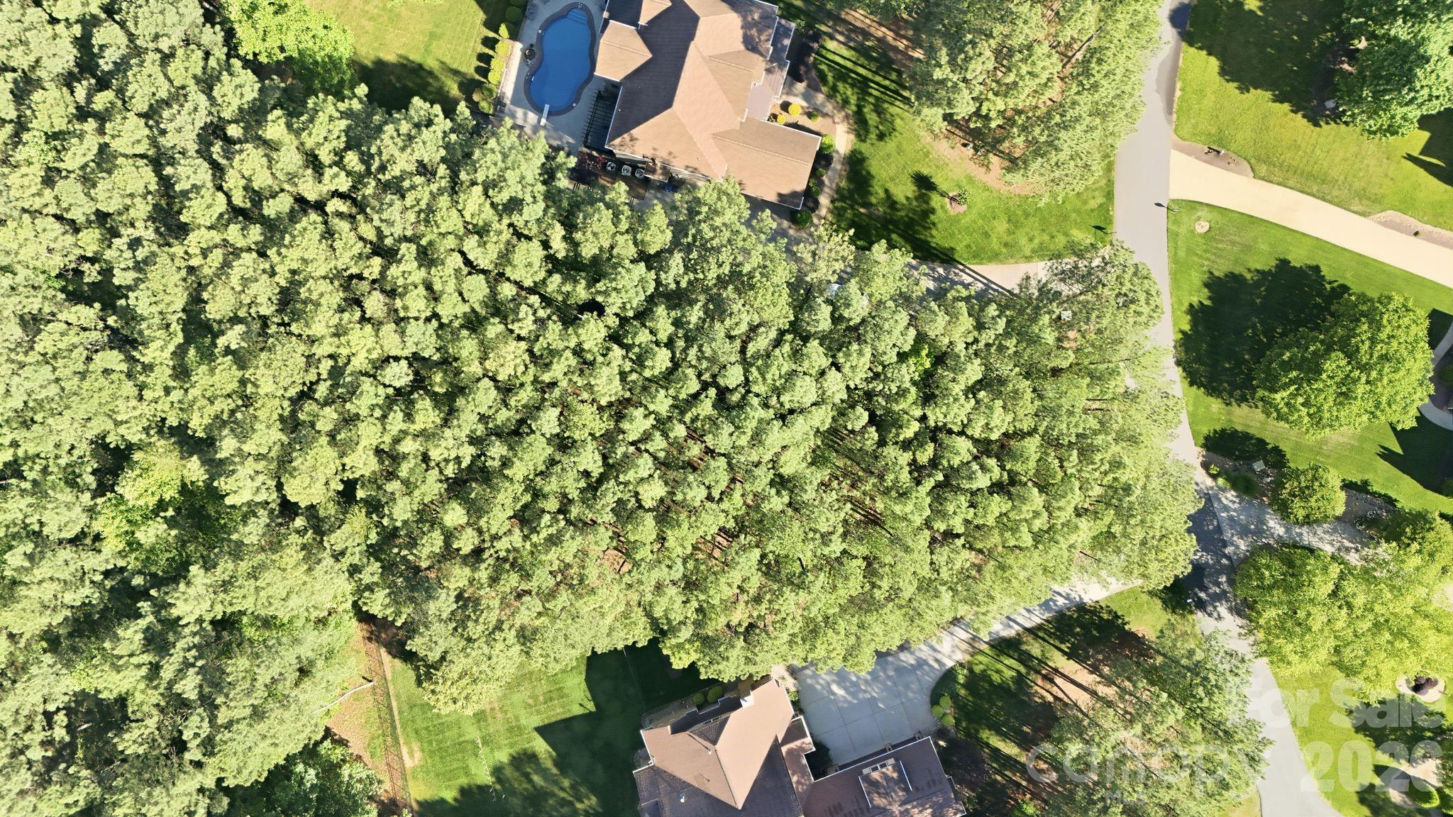 158 Blue Ridge Trail Property Photo 1