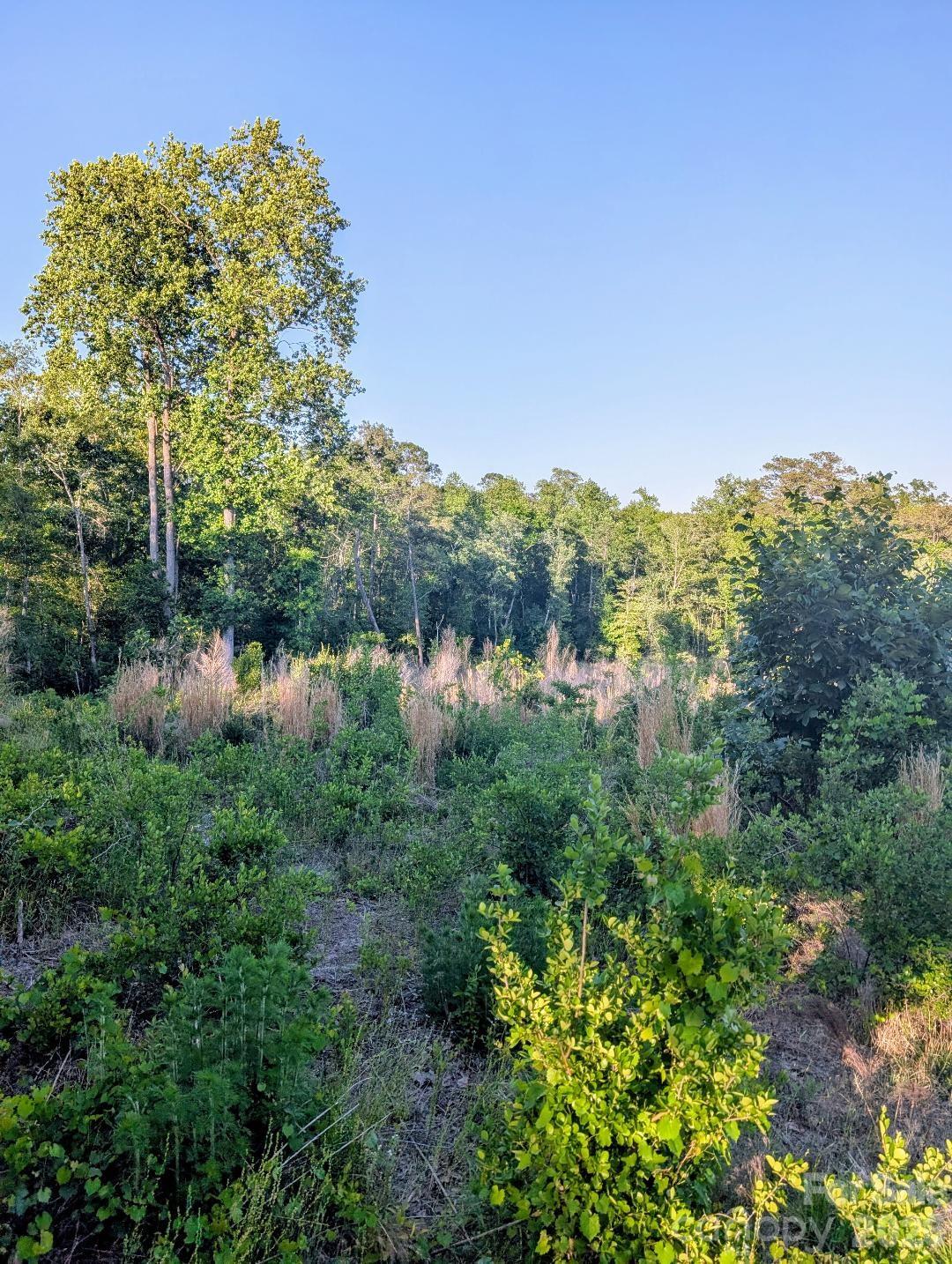 3328 Love Road Property Photo 7