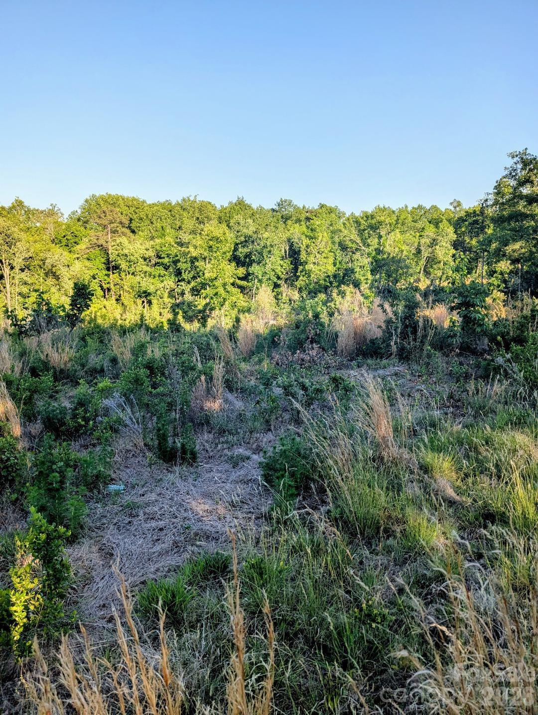 3328 Love Road Property Photo 8