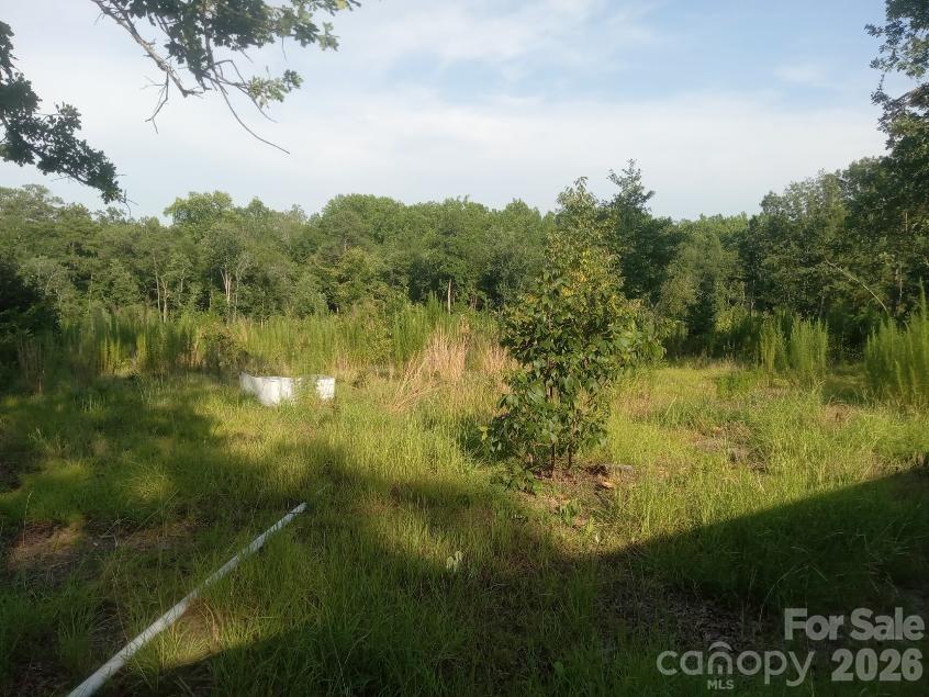 3328 Love Road Property Photo 12