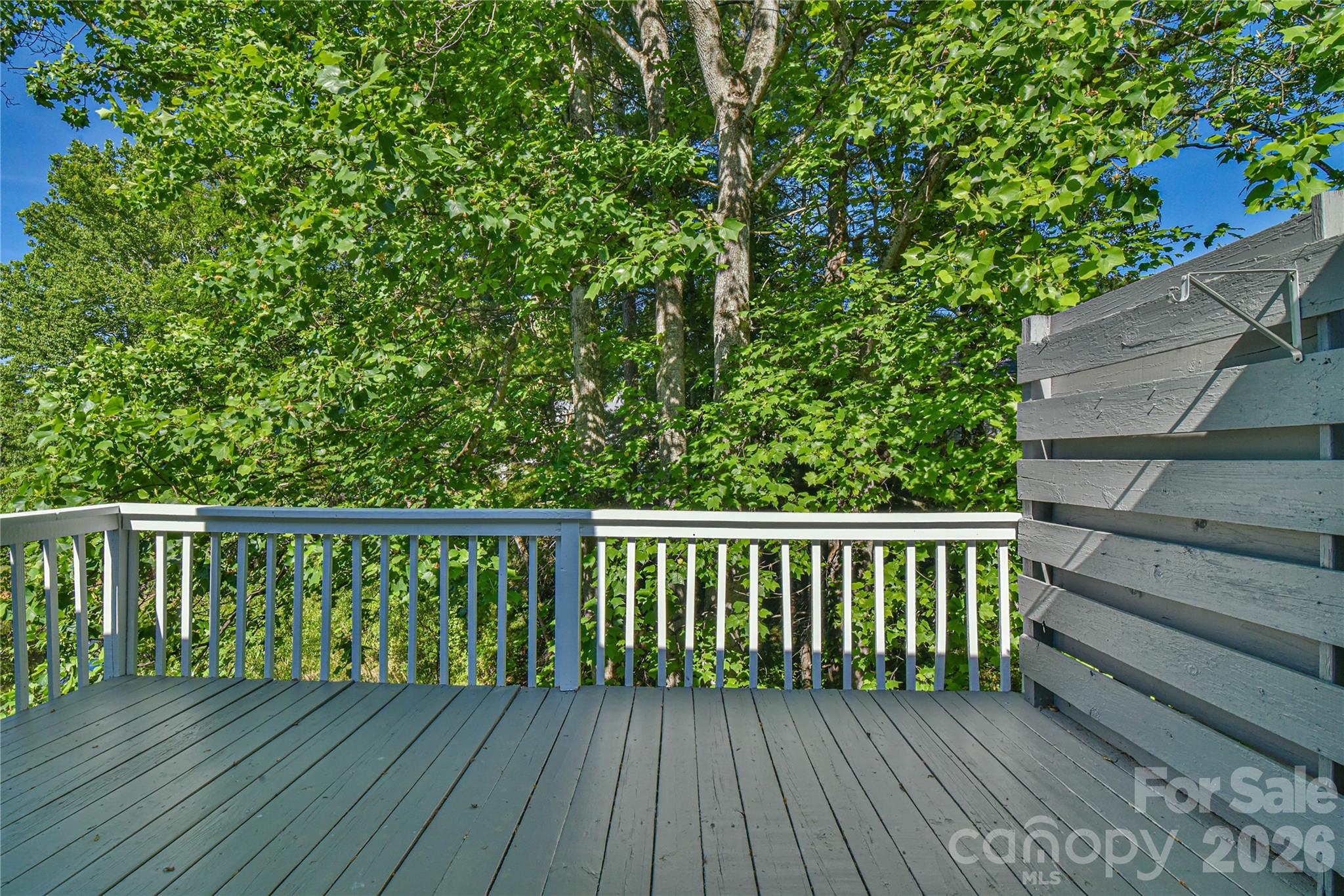 63 Hollybrook Drive Property Photo 19