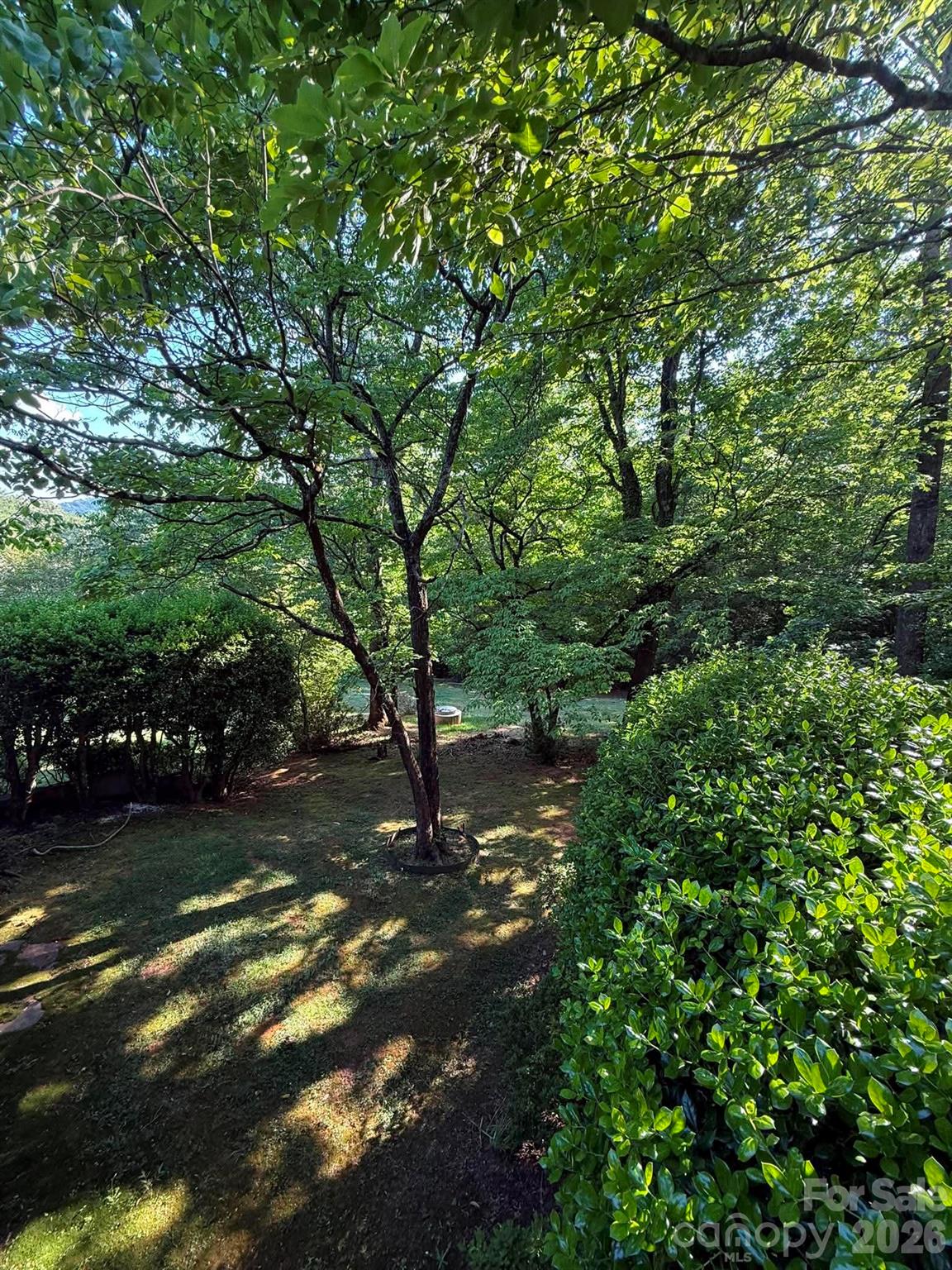 2 Hunting Country Trail Property Photo 38